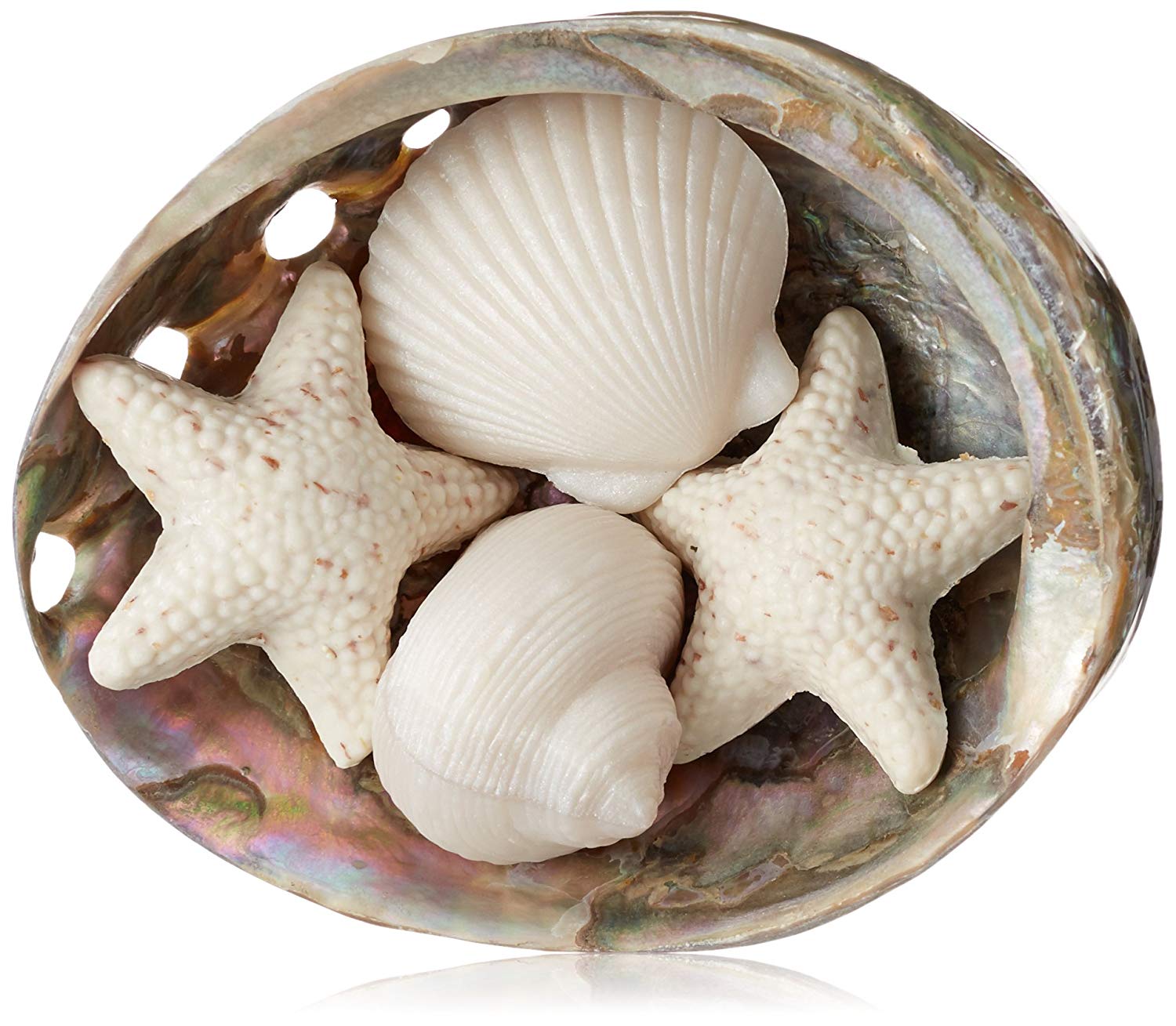 Amazon.com: Gianna Rose Seashell Soaps in a Pearlized Shell Dish ...