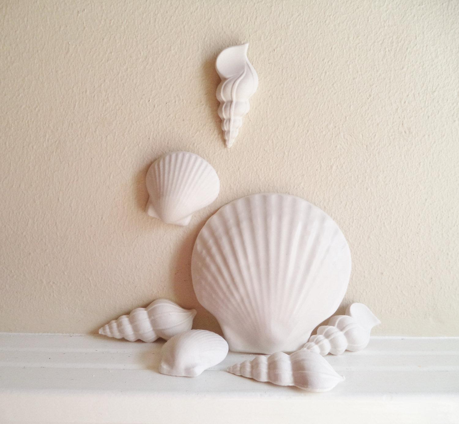 Seashell decor wall hanging shells beach decor coastal
