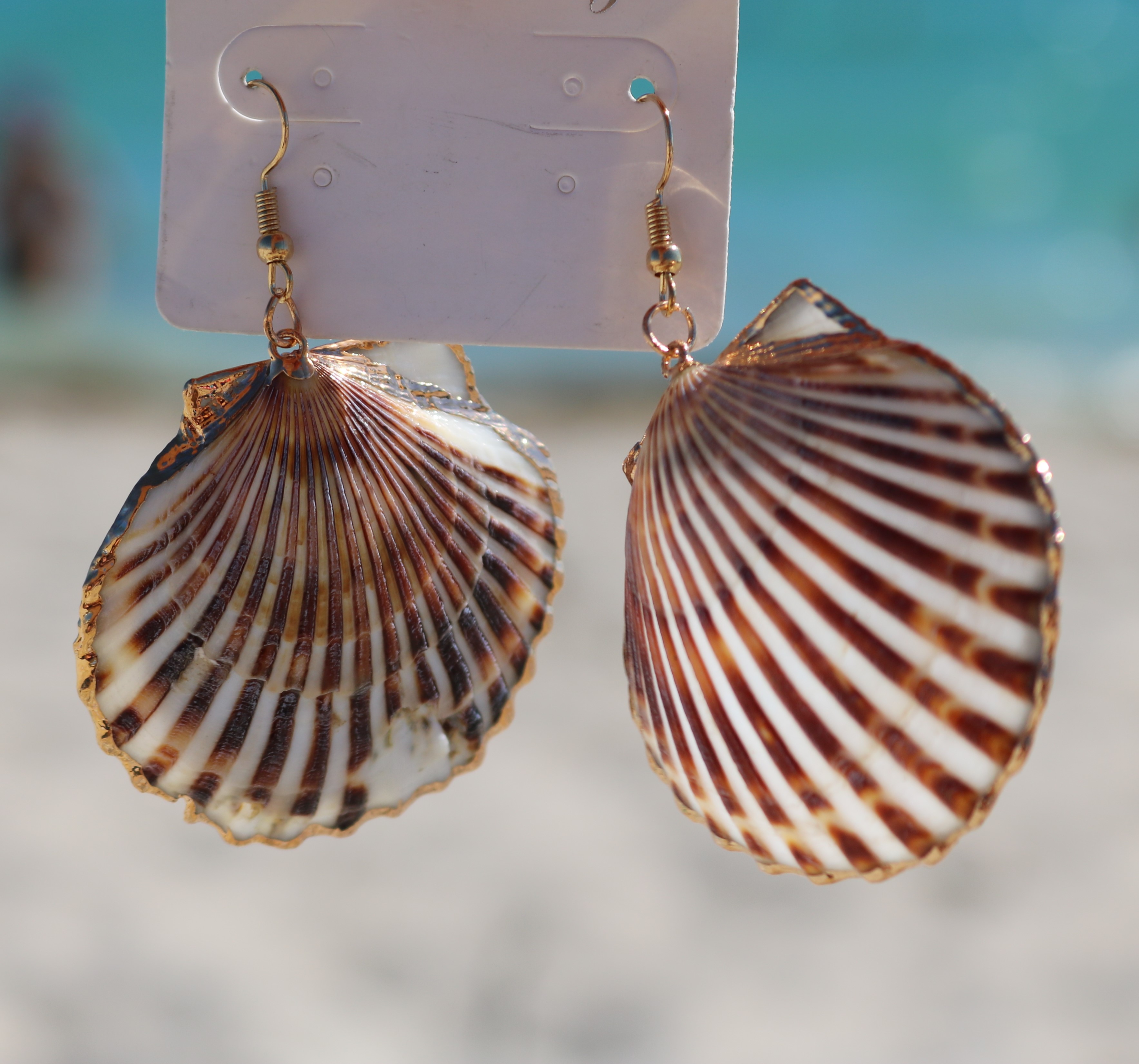 Seashell Earrings | Shellection Earrings | Beach Party Earring