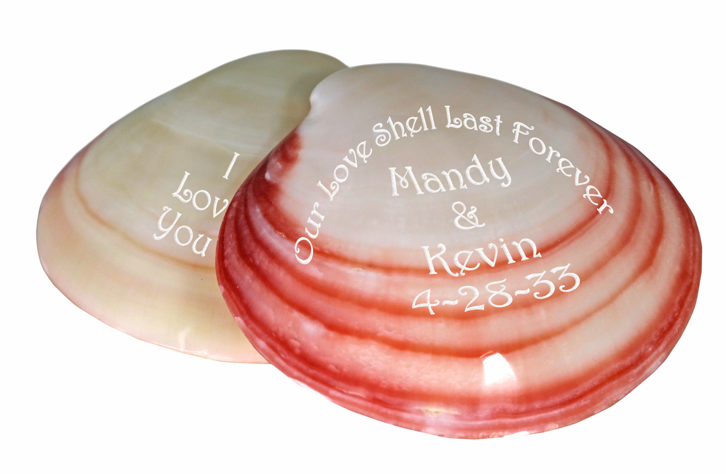 Personalized Polished Beach Clam Seashell Favors: HansonEllis.com