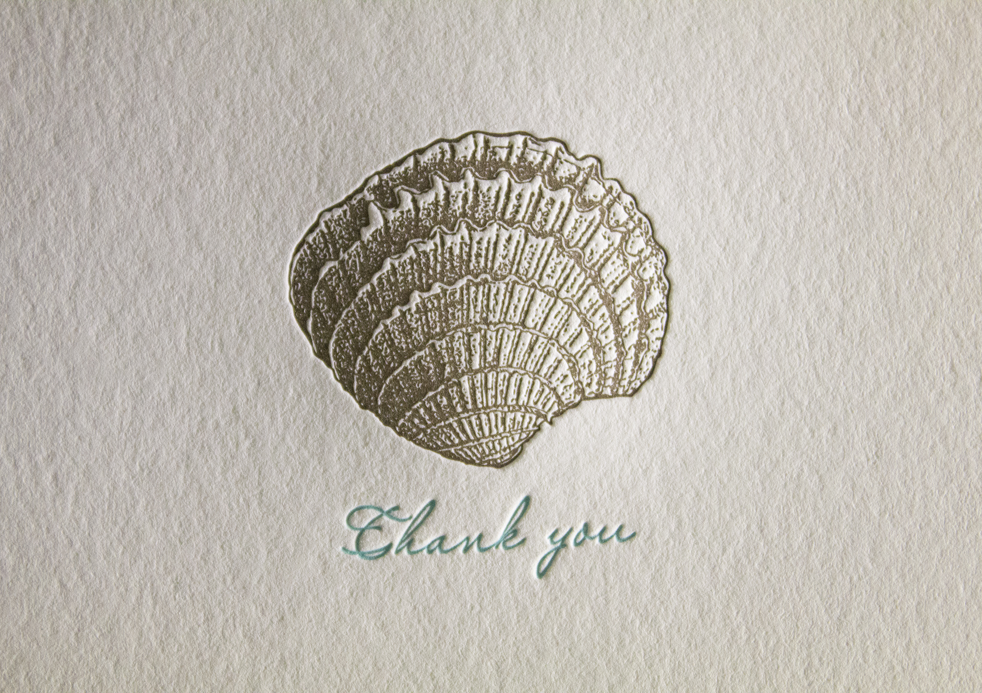 Seashell Letterpress Thank You Card - Dolce Press