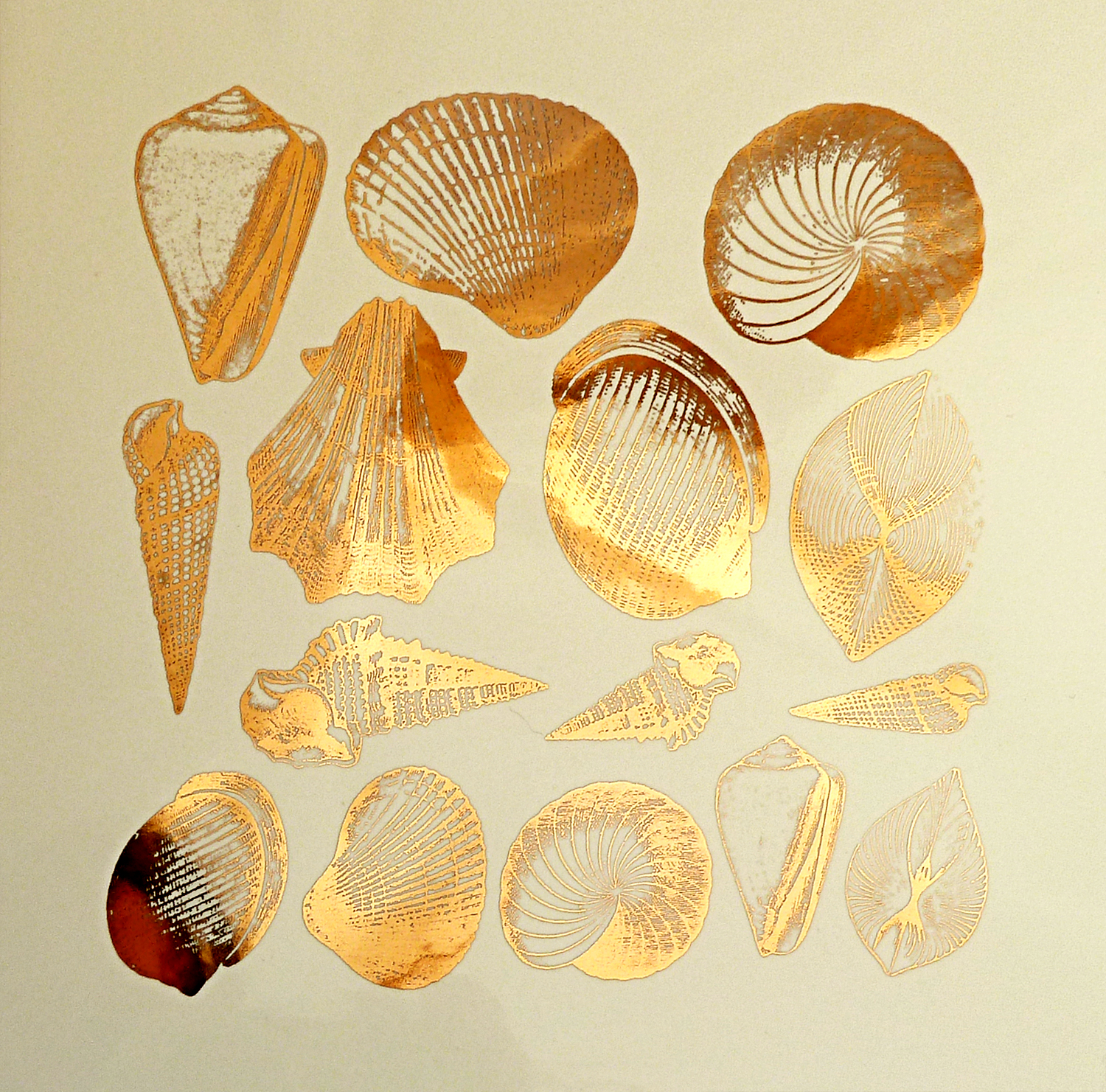 Seashell Decals for Glass, Ceramic or Enamel — Custom Ceramic Decals ...