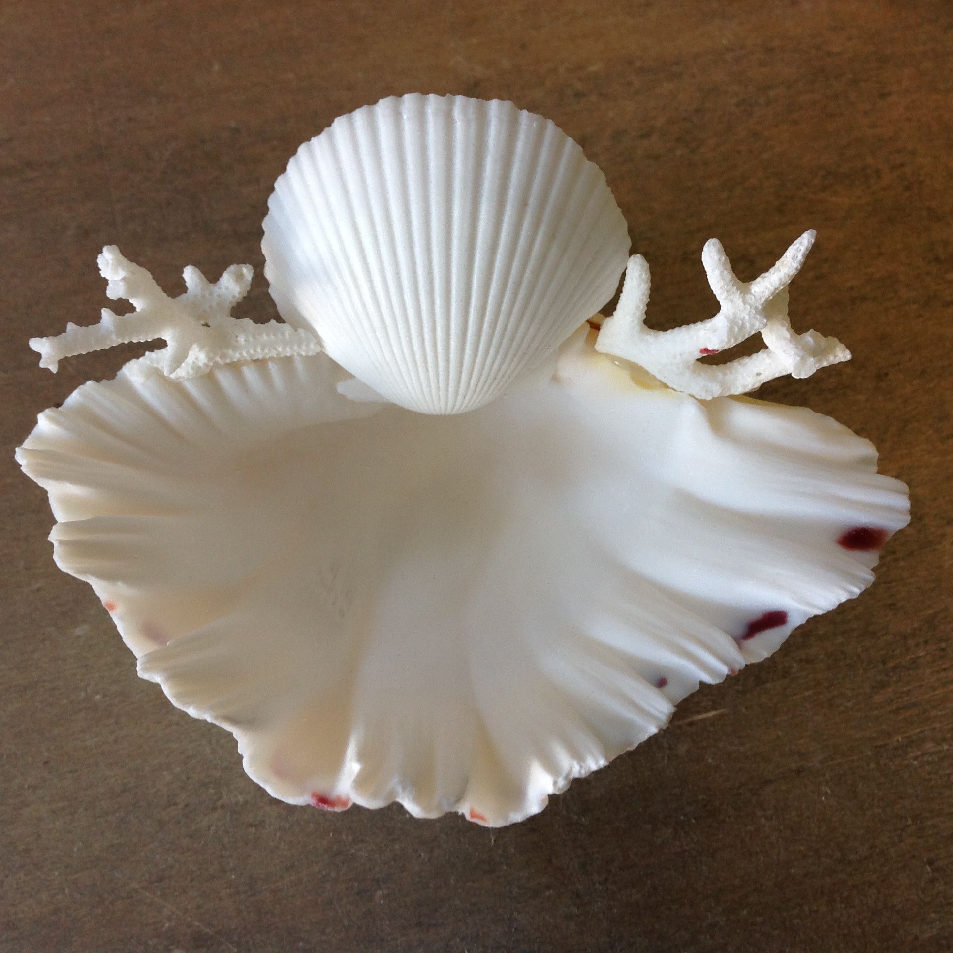 Seashell Ring Dish | Unique, Shell and Shell art