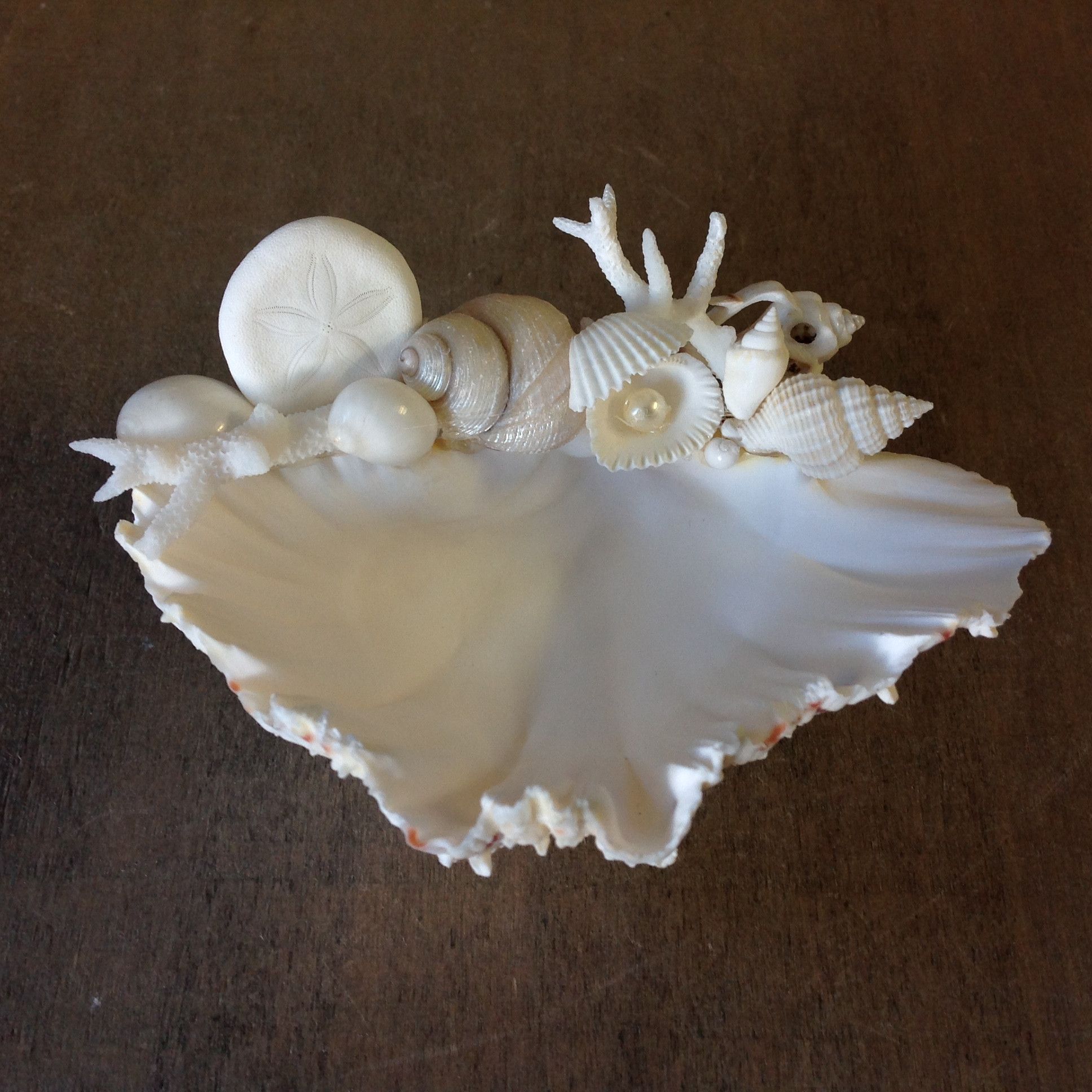 Seashell Ring Dish | Soap dishes, Clams and Dishes