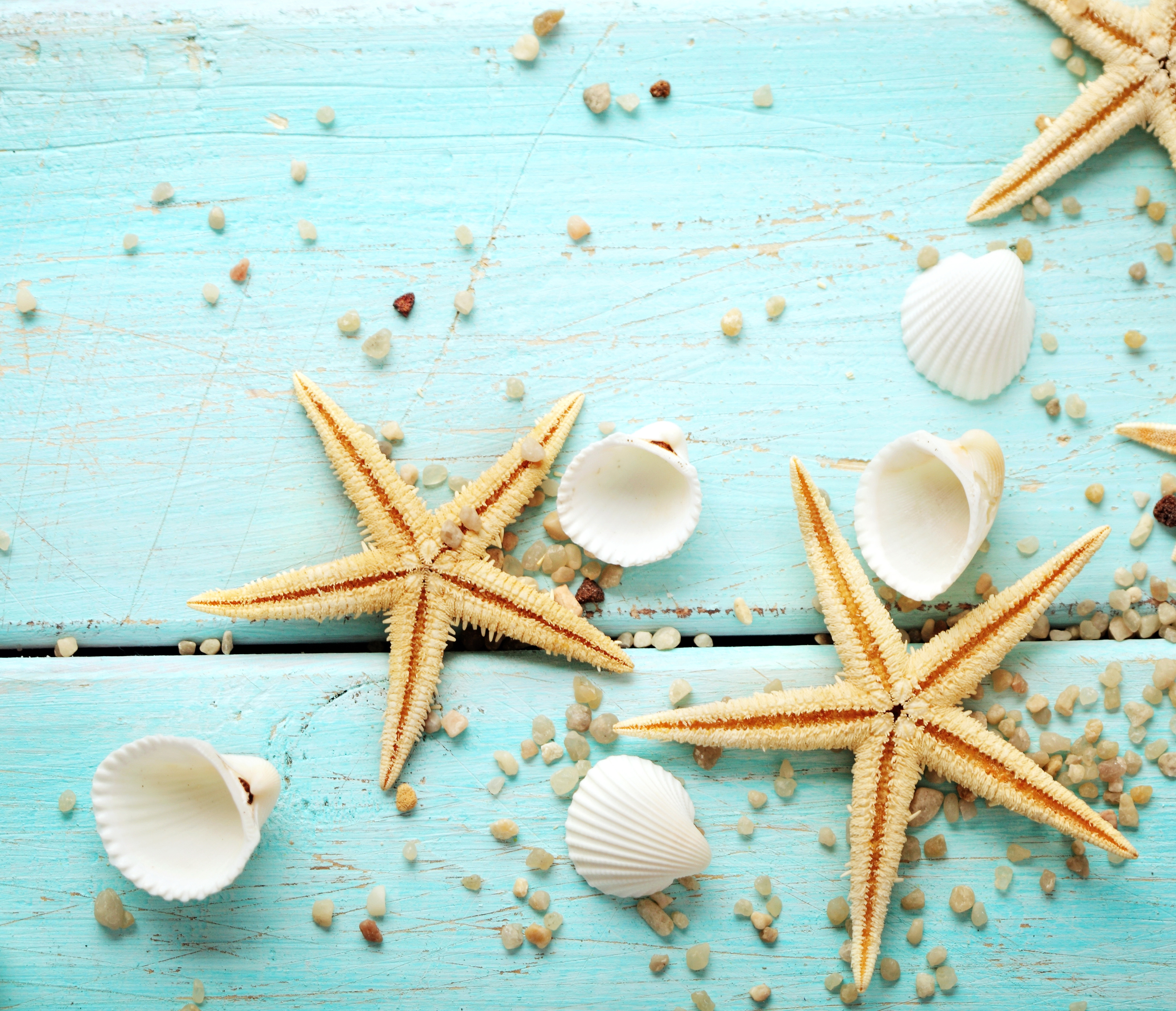 marine, starfish, seashells, wood :: Wallpapers