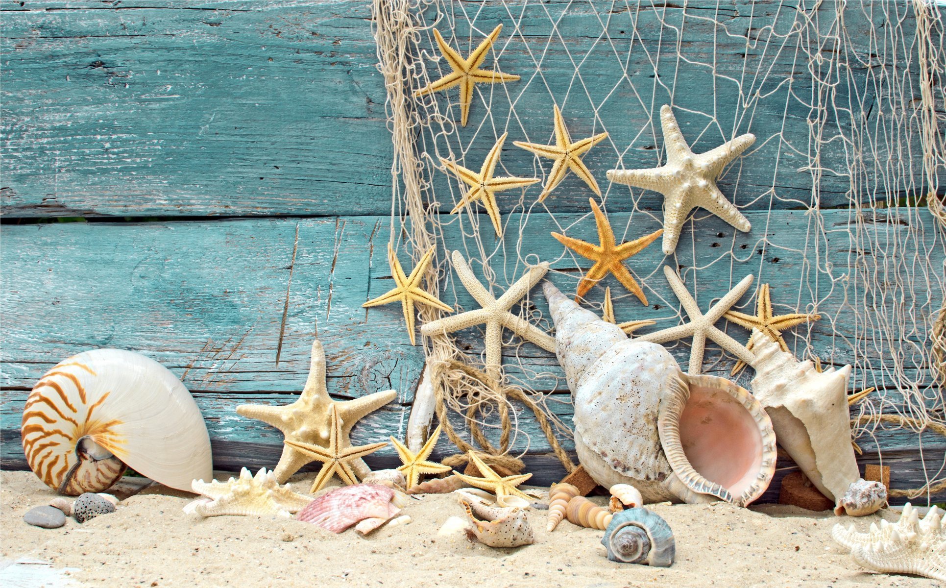 seashells starfish net wood marine shells sand beach stones tree HD ...