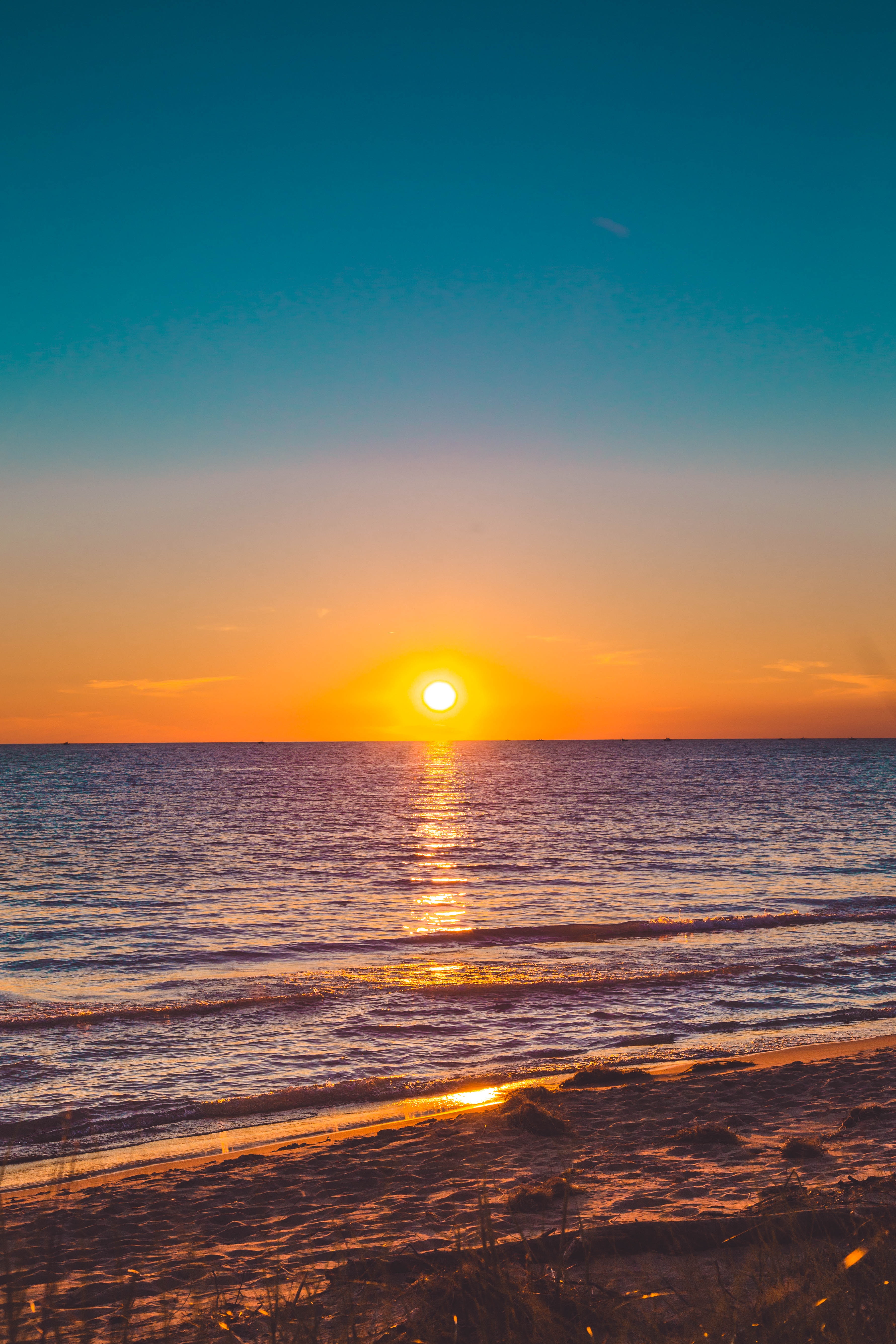 Seashore during Sunset · Free Stock Photo