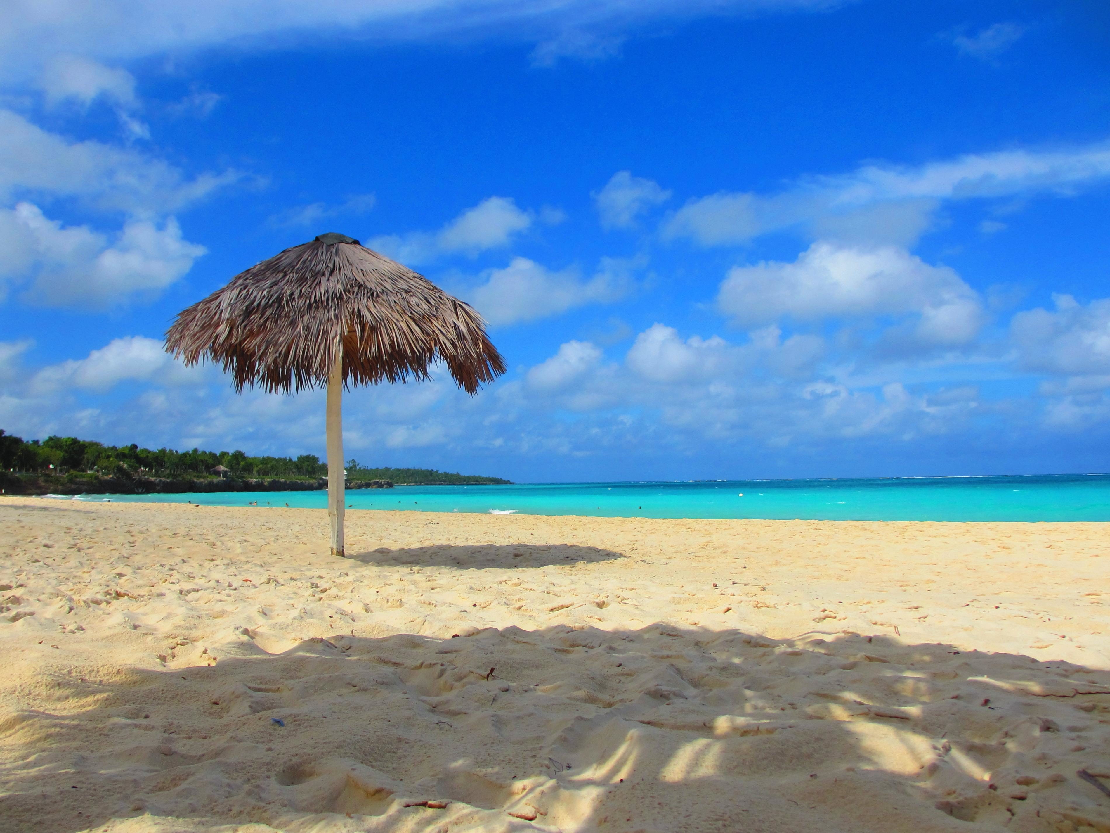 Free picture: sand, Hawaii, beach, summer, sun, water, seashore ...