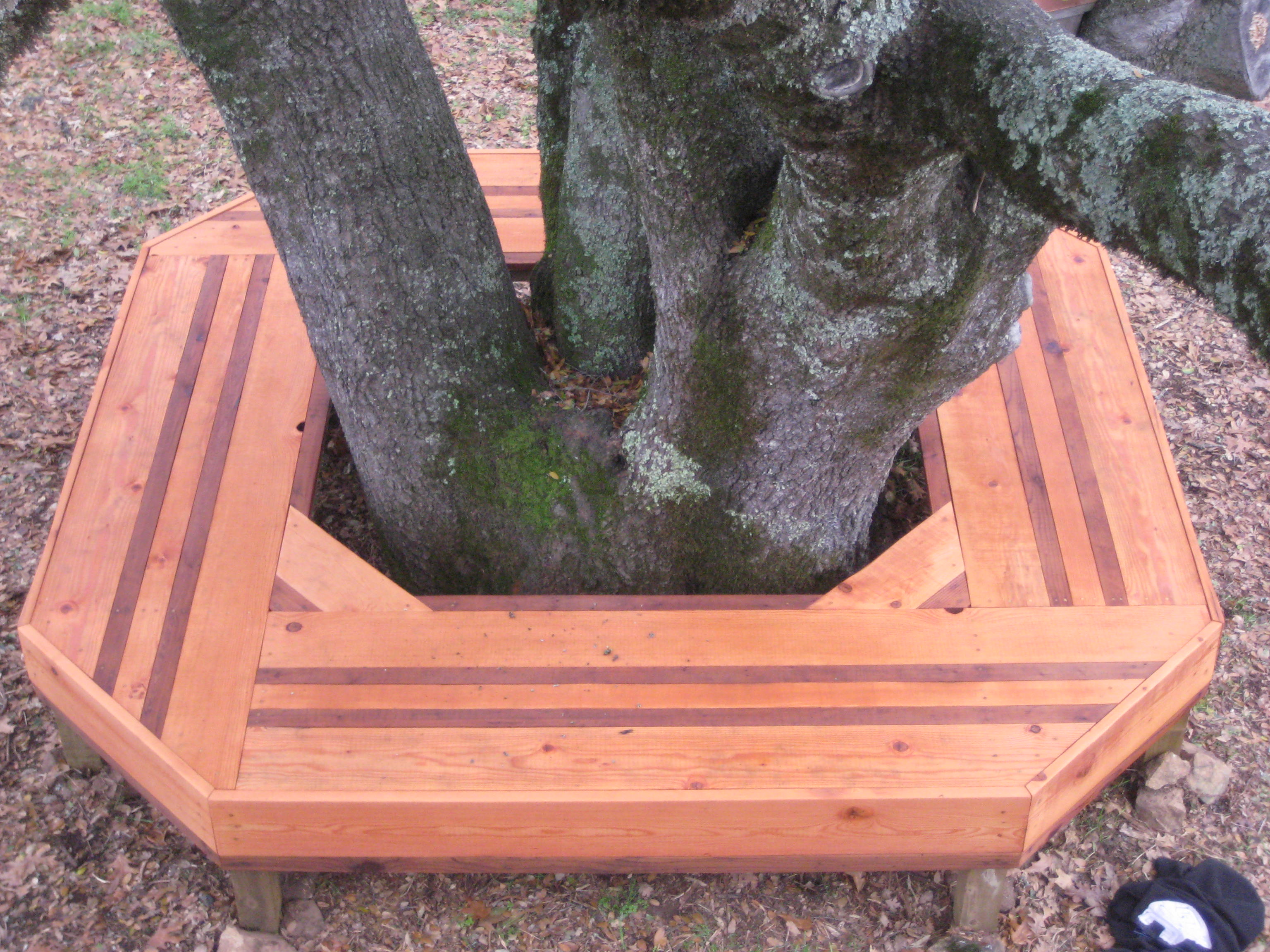 Oak Tree Bench « Kacy Kikendall Custom Woodworking