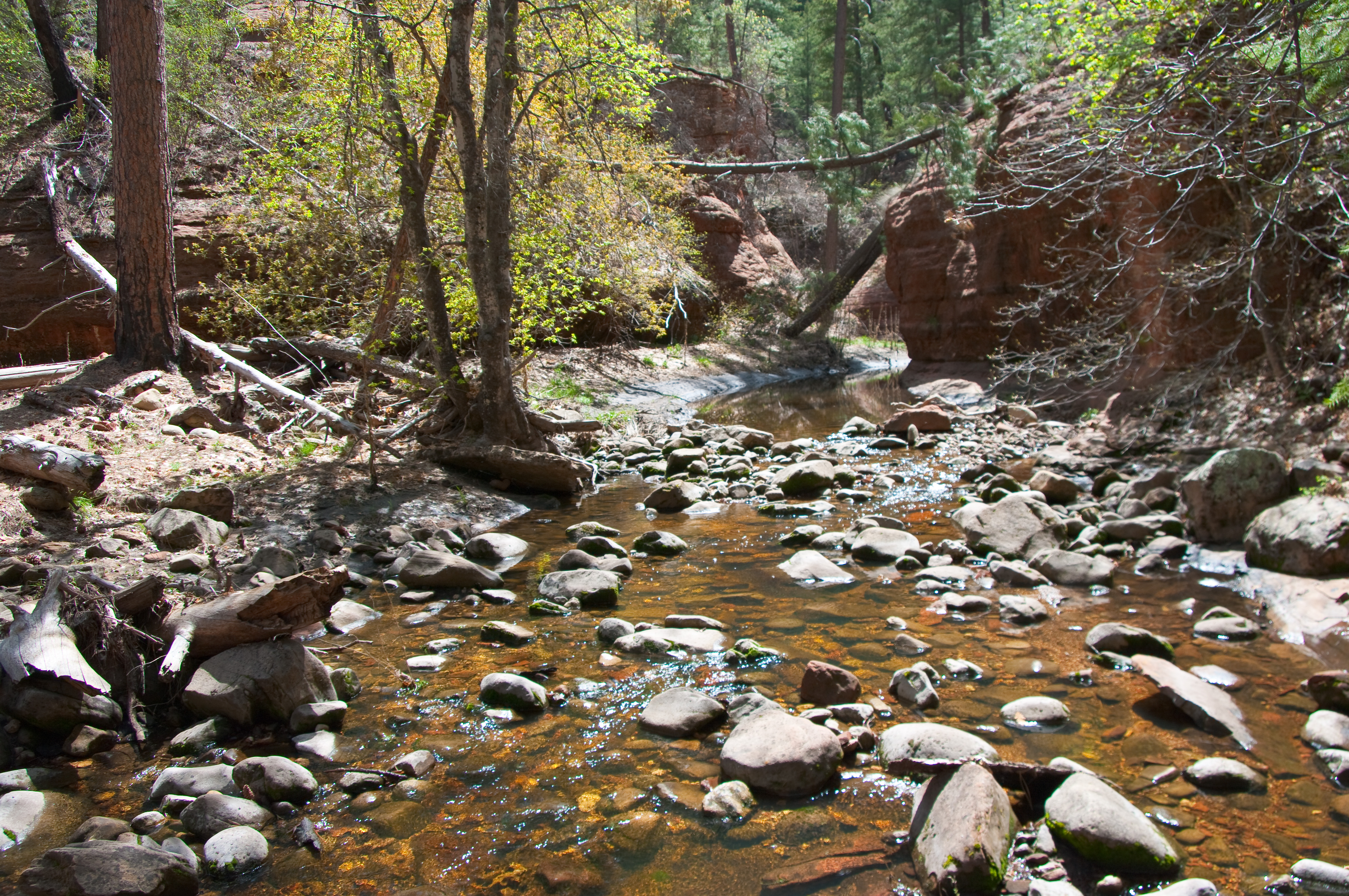 Secret Canyon Trail, Arizona, Redrock, Water, Trail, HQ Photo