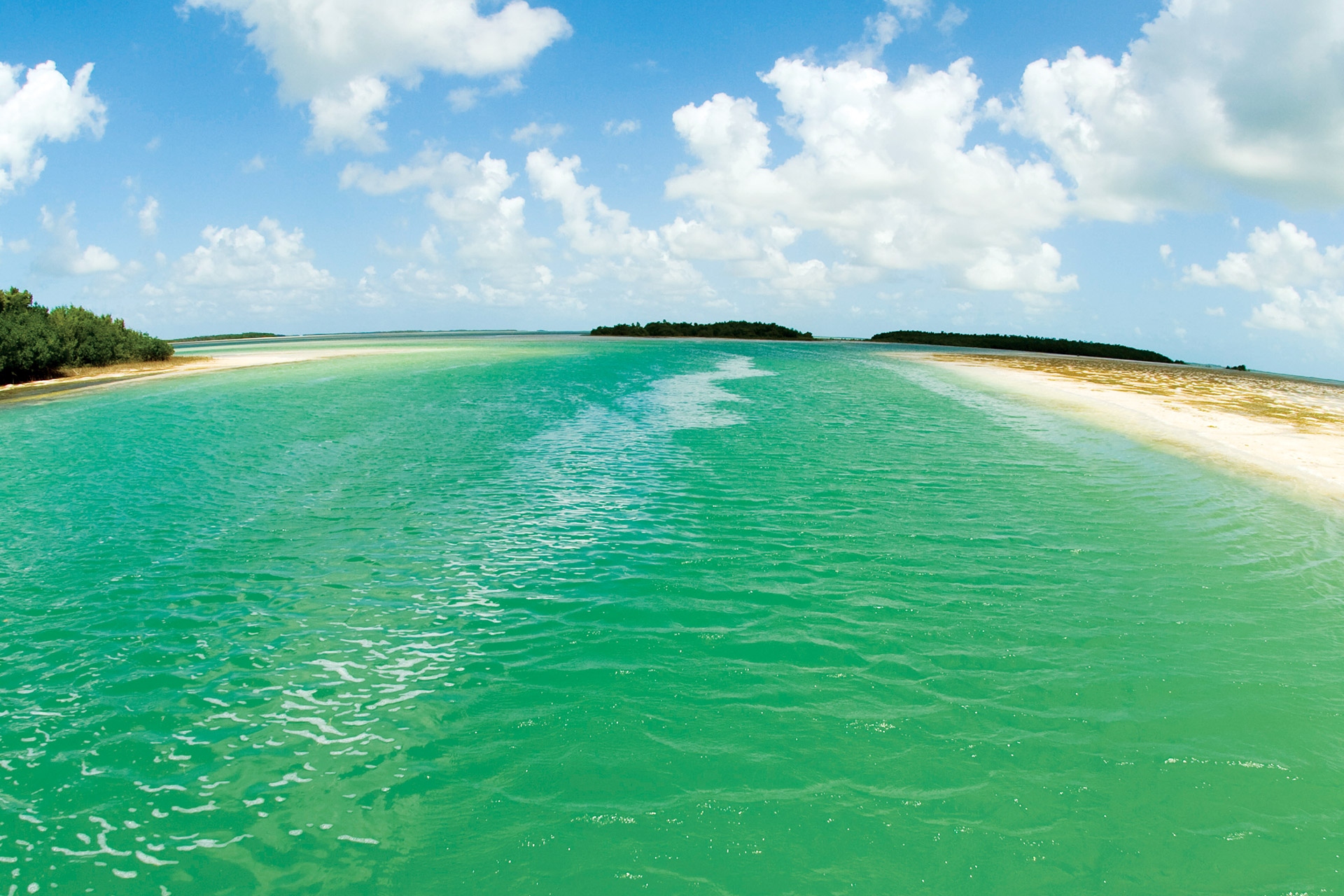 Florida Keys - SEE Florida