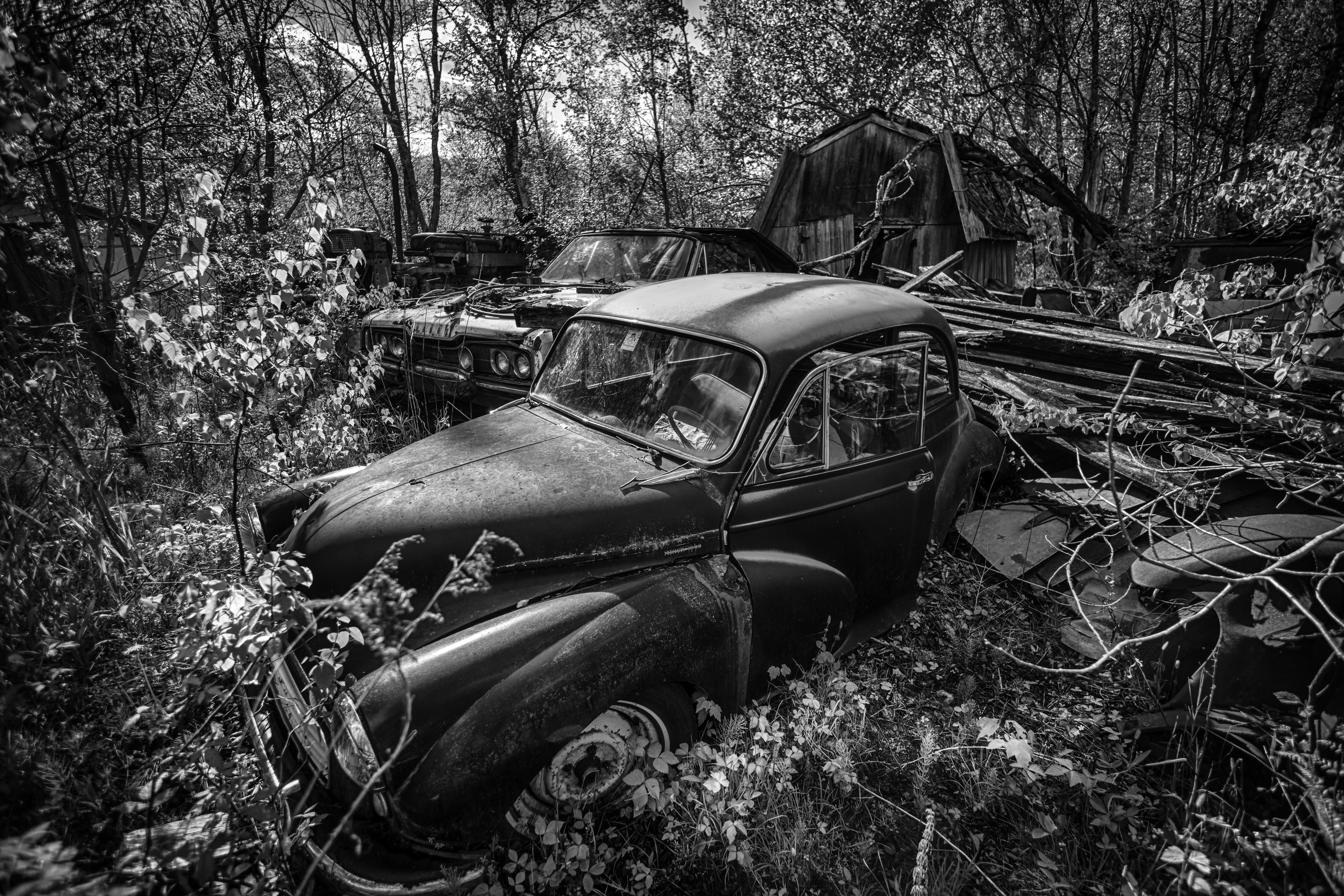 Couple of cars that have seen better days. – Stephen Muise Photography