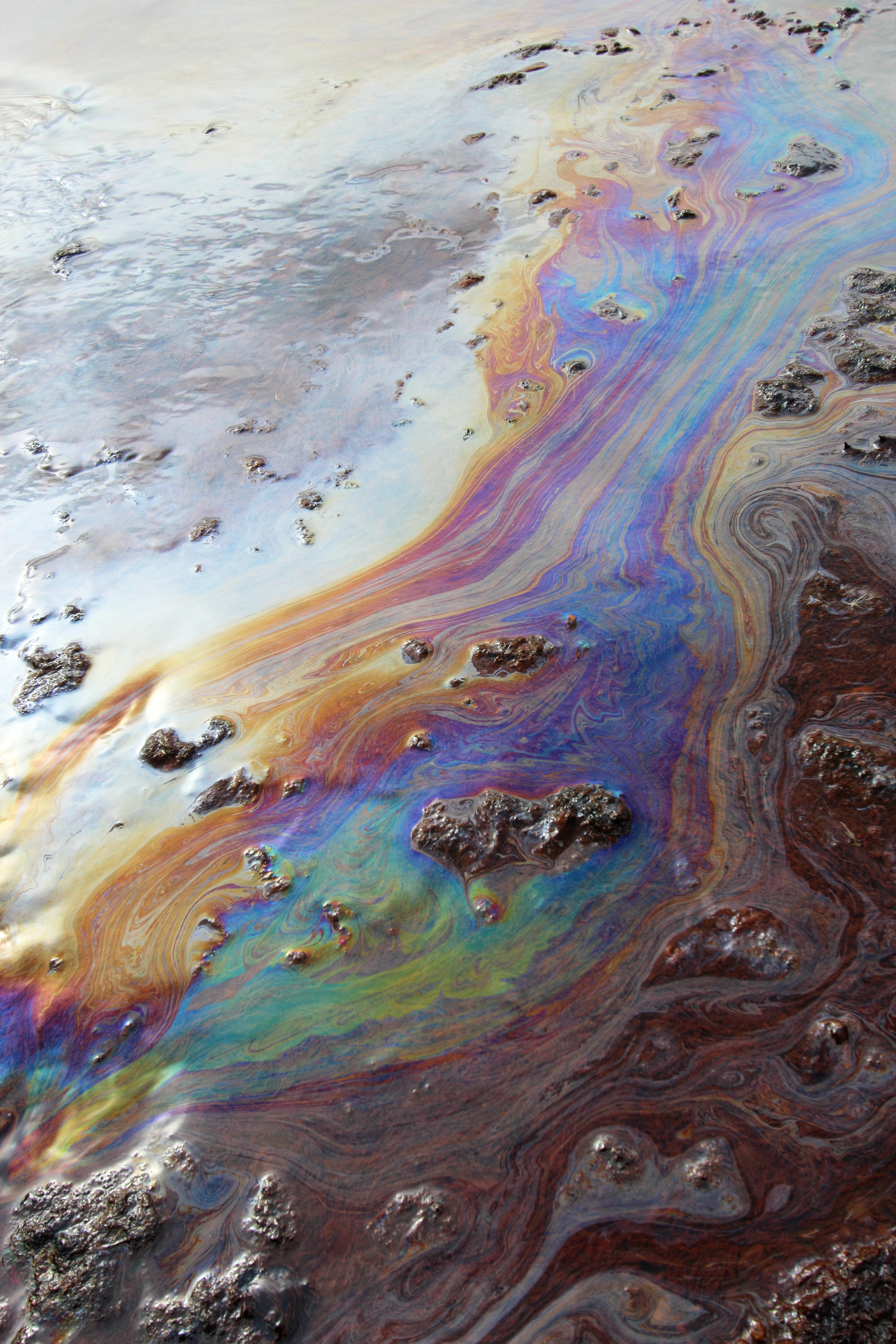 Oil Seep -