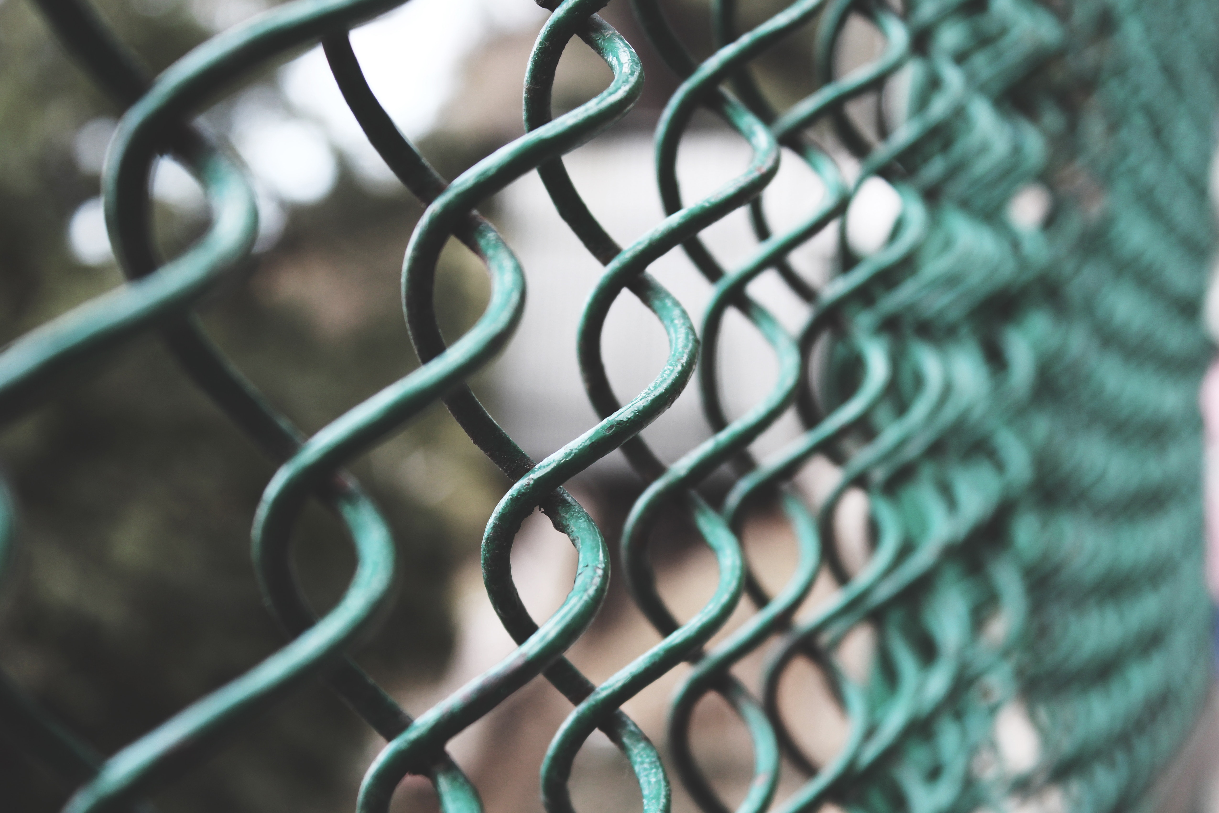 Selective Focus Photography of a Green Link Fence, Blur, Close -up, Color, Fence, HQ Photo