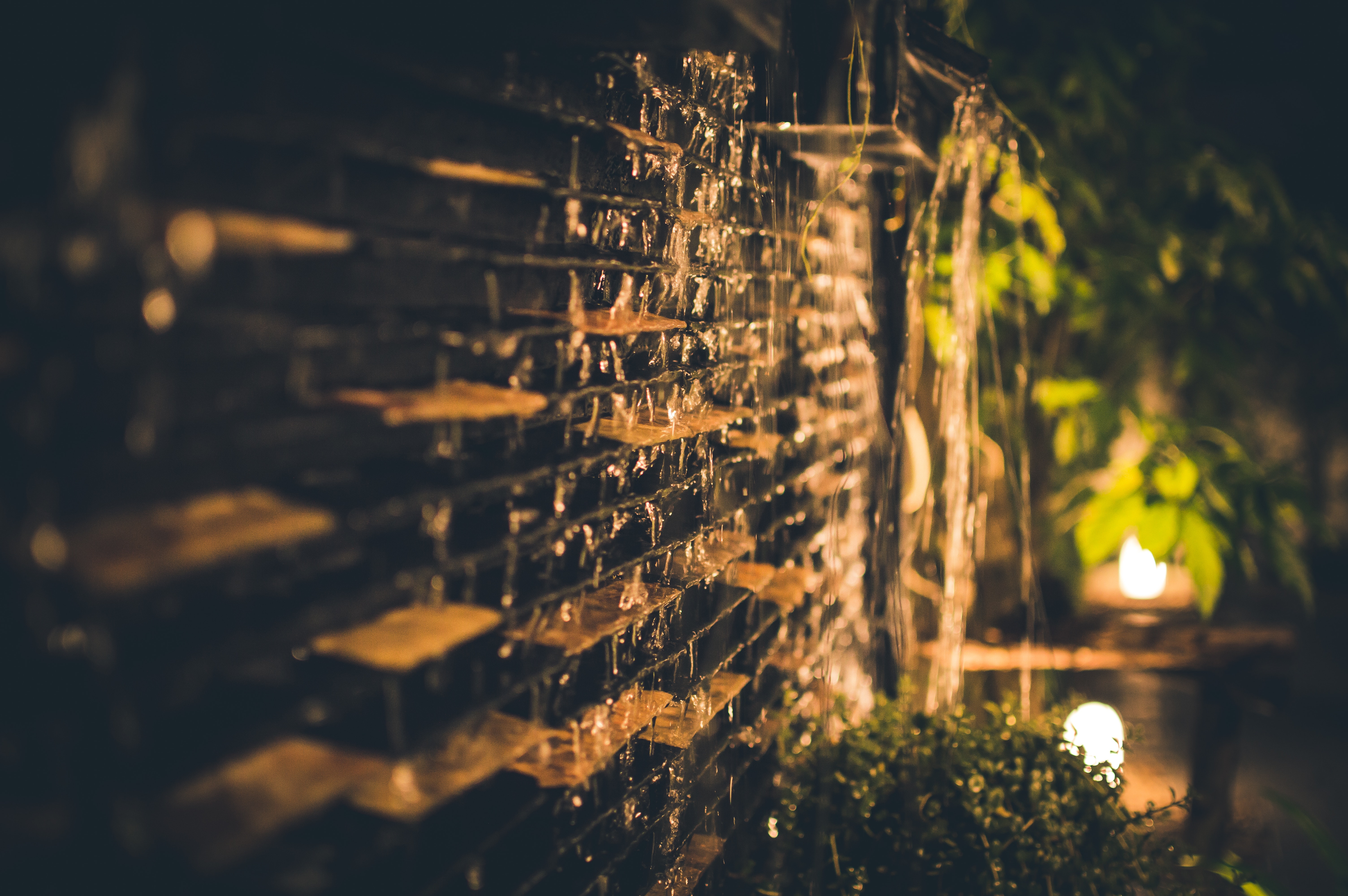 Selective Focus Photography of Brown Brick Wall during Nighttime, Abstract, Grass, Water, Tree, HQ Photo