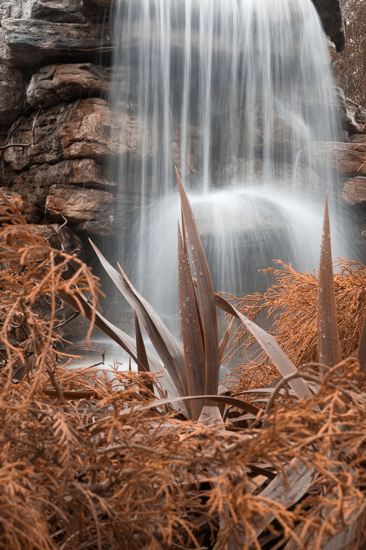 Sepia waterfall foliage - hdr photo