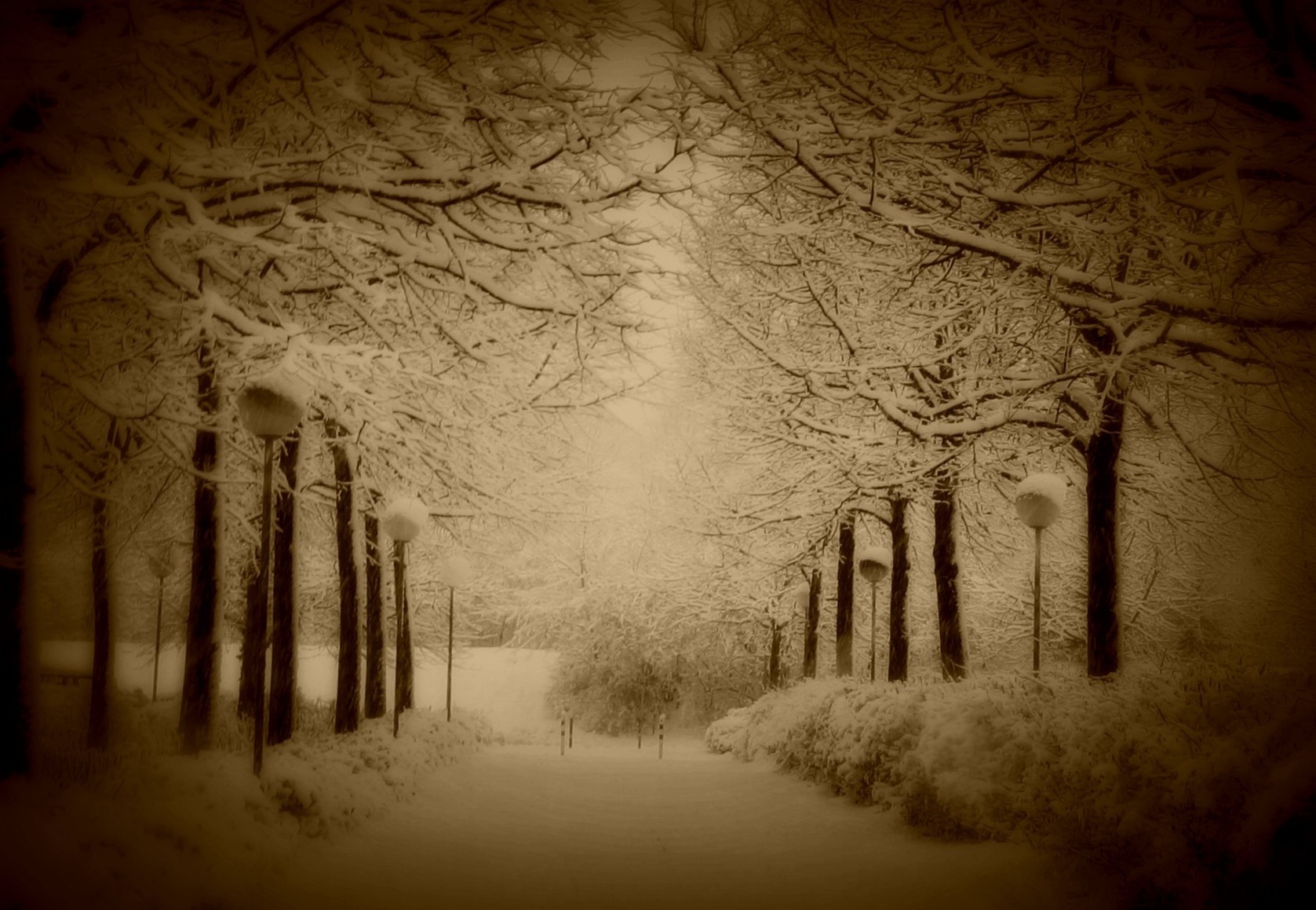 Trees: Landscapes Snow Lamp Winter Sepia Light Nature Hd Wallpaper ...
