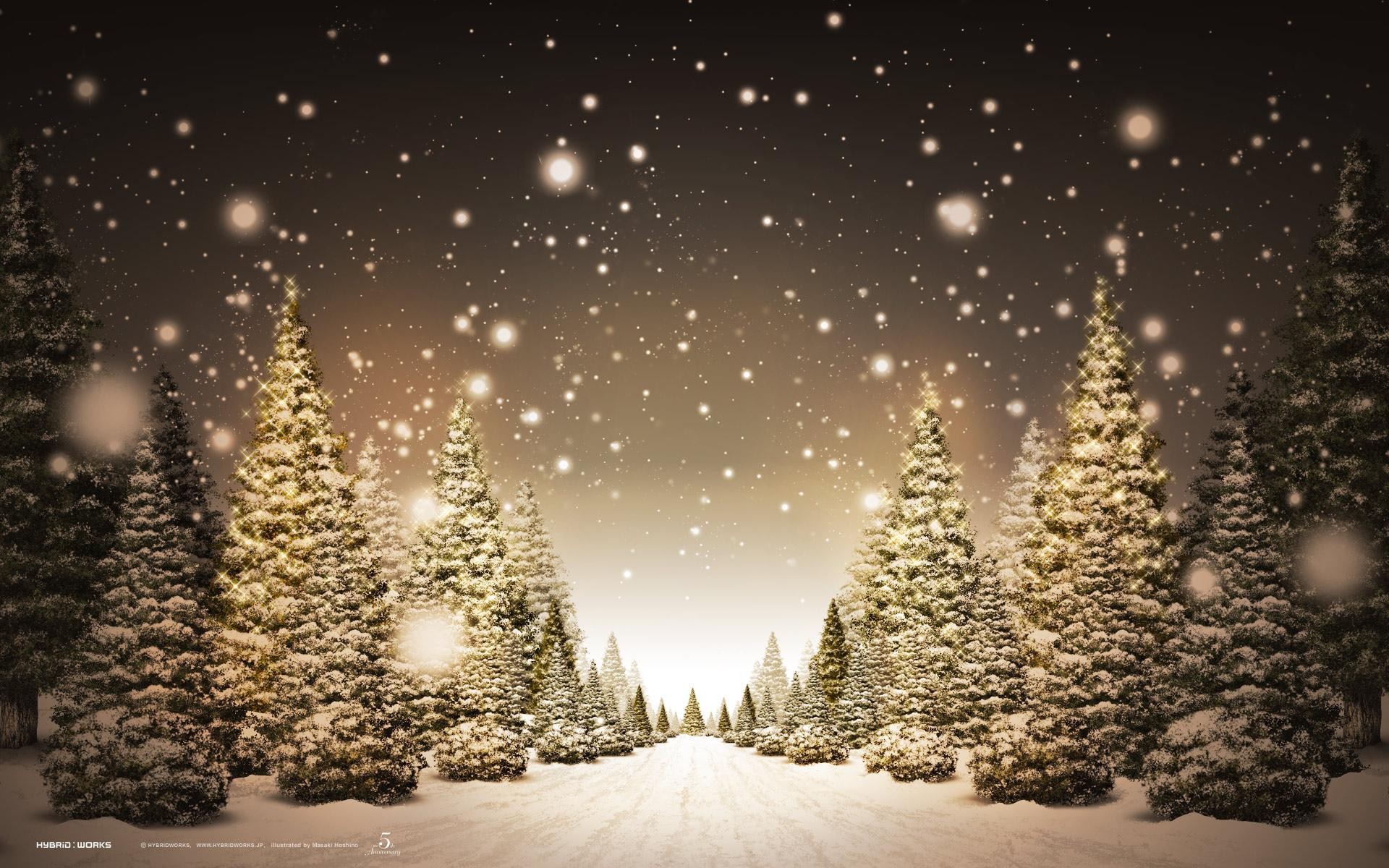 New Christmas Tree Sepia Tan Snow Pretty White Year Lane Black Path ...