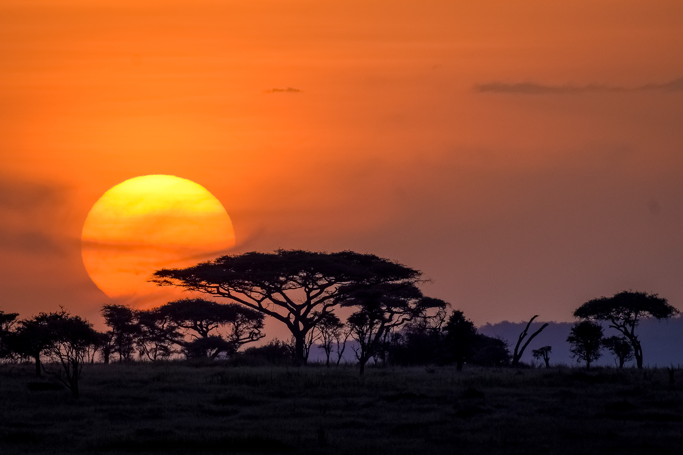 Serengeti sunset photo
