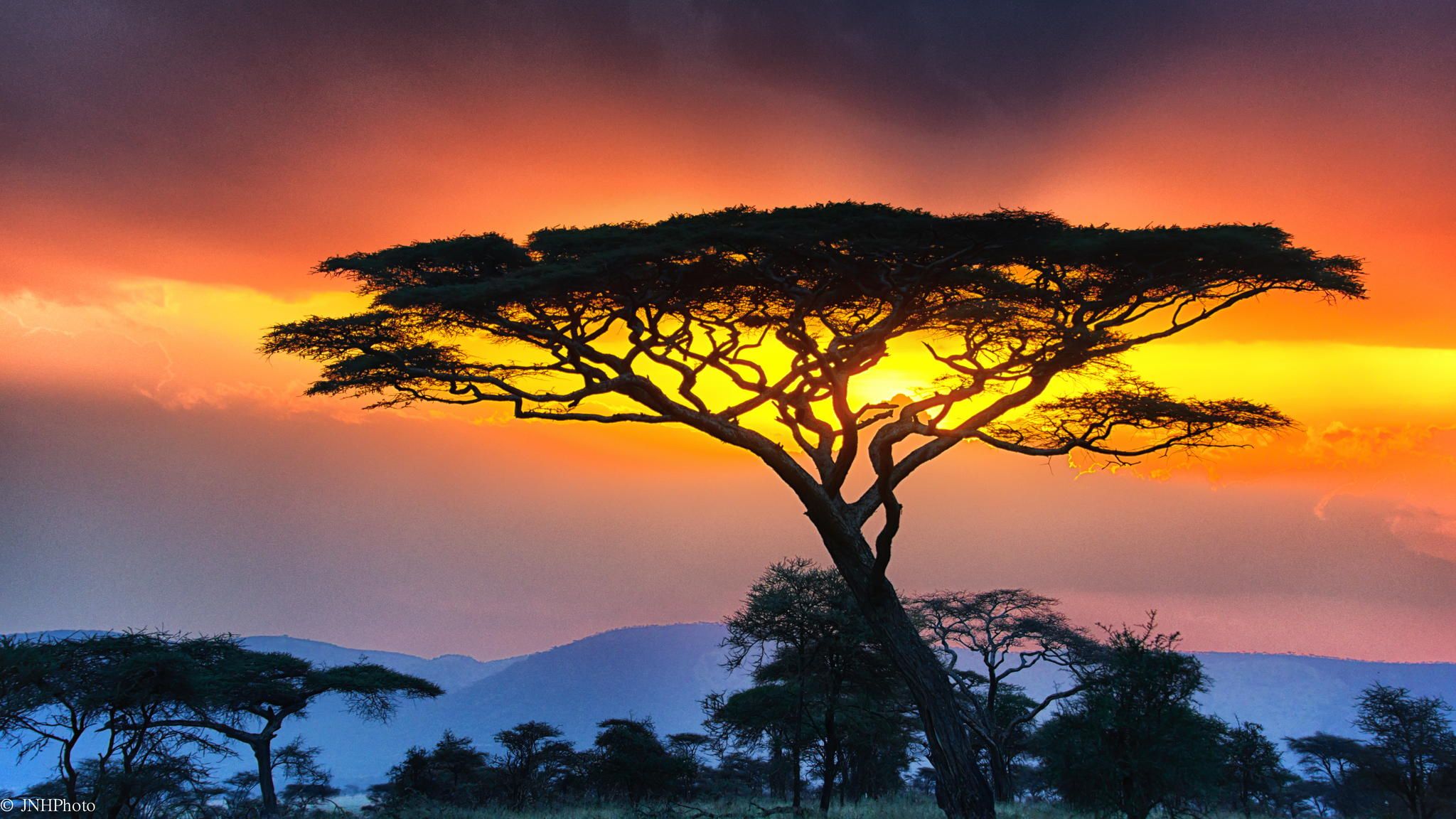 Photograph Serengeti Sunset by John Harrison on 500px | Photography ...