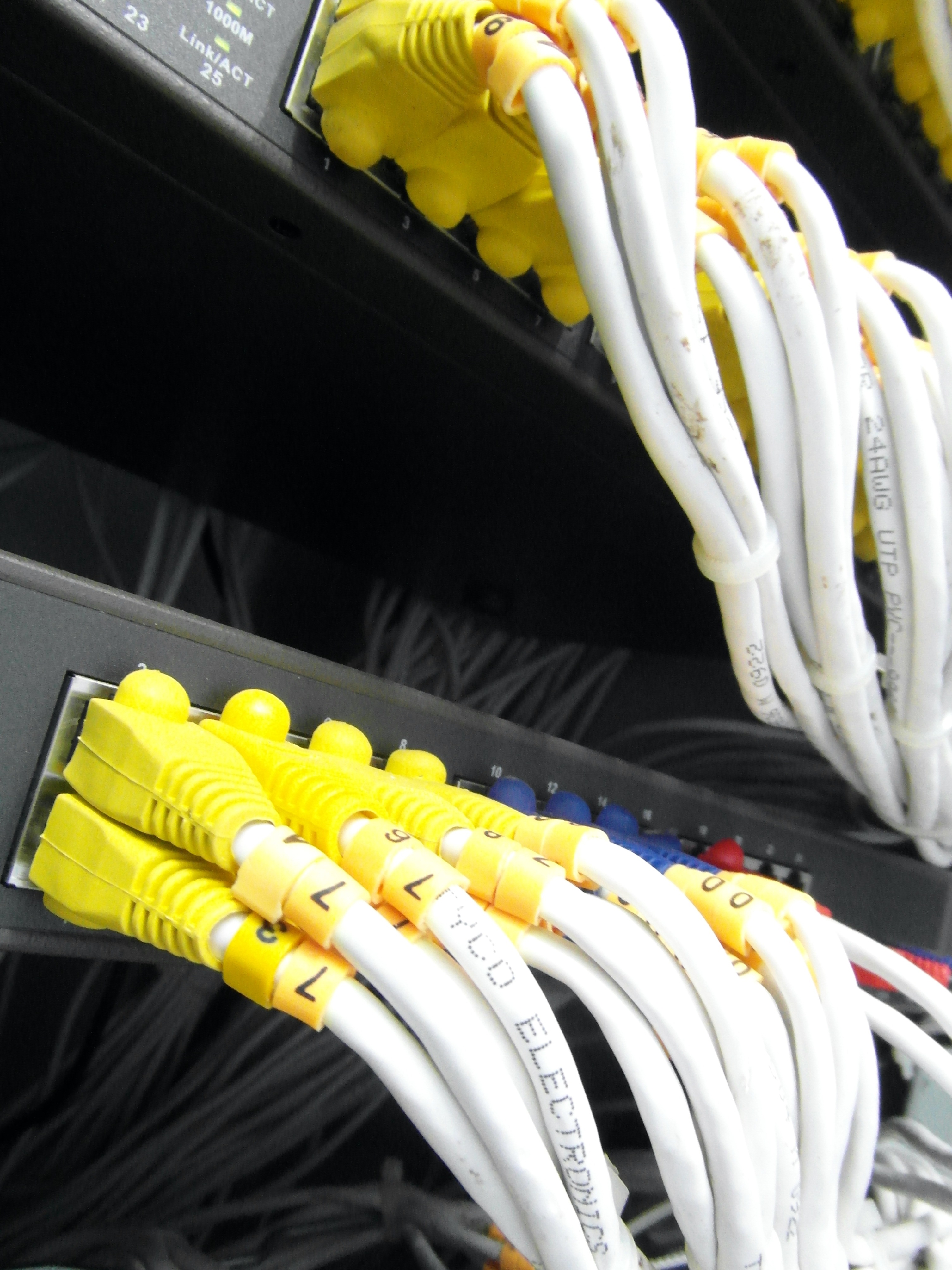 Server Network Cables, Array, Server, Network, Provider, HQ Photo