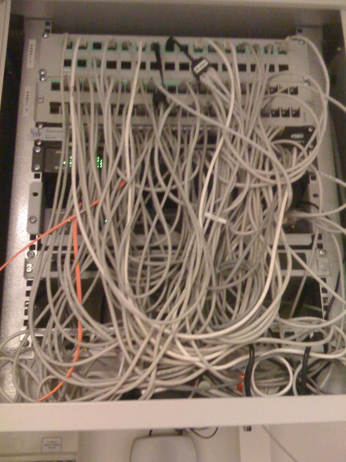 Server network cables photo