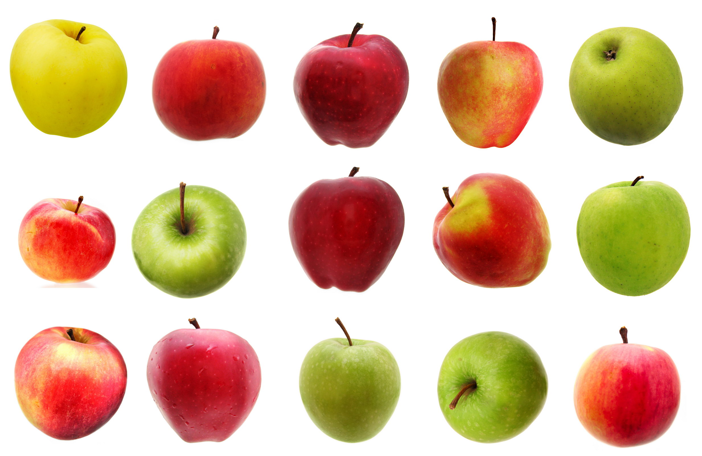 Set of apples, Apple, Apples, Diet, Food, HQ Photo