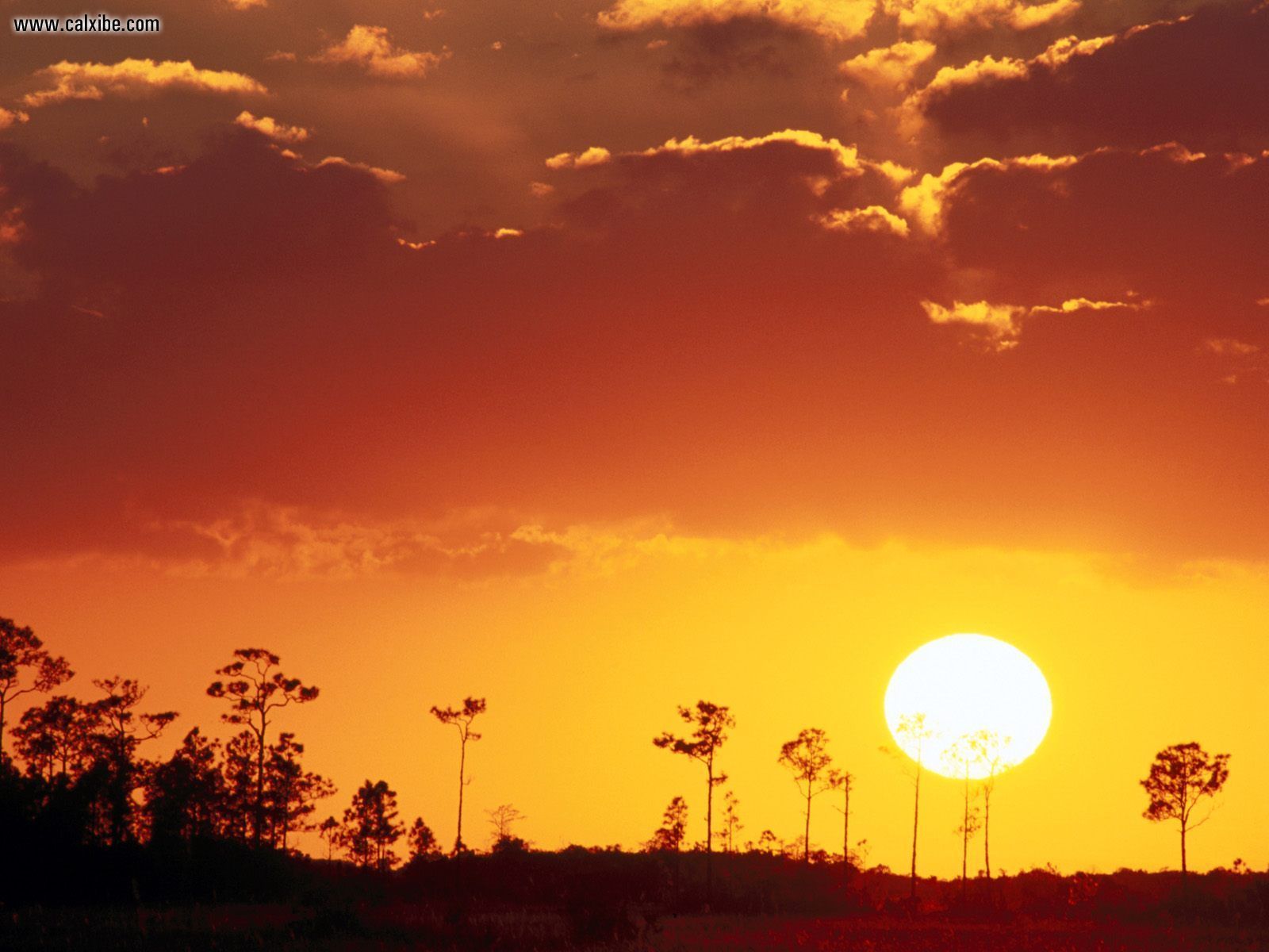 Nature: Setting Sun Over The Swampland Everglades National Park ...
