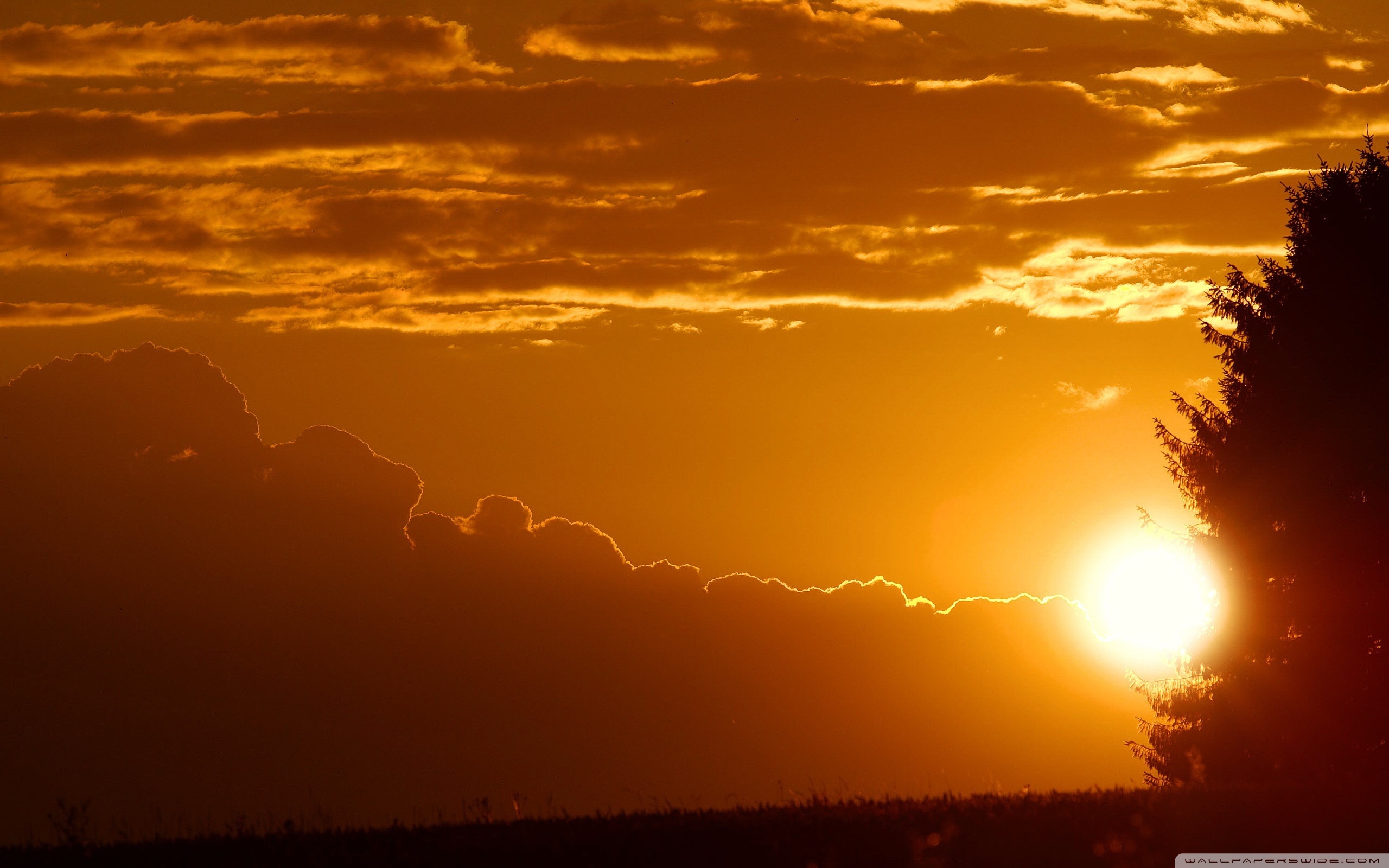 The Rays Of The Setting Sun Sundown ❤ 4K HD Desktop Wallpaper for ...