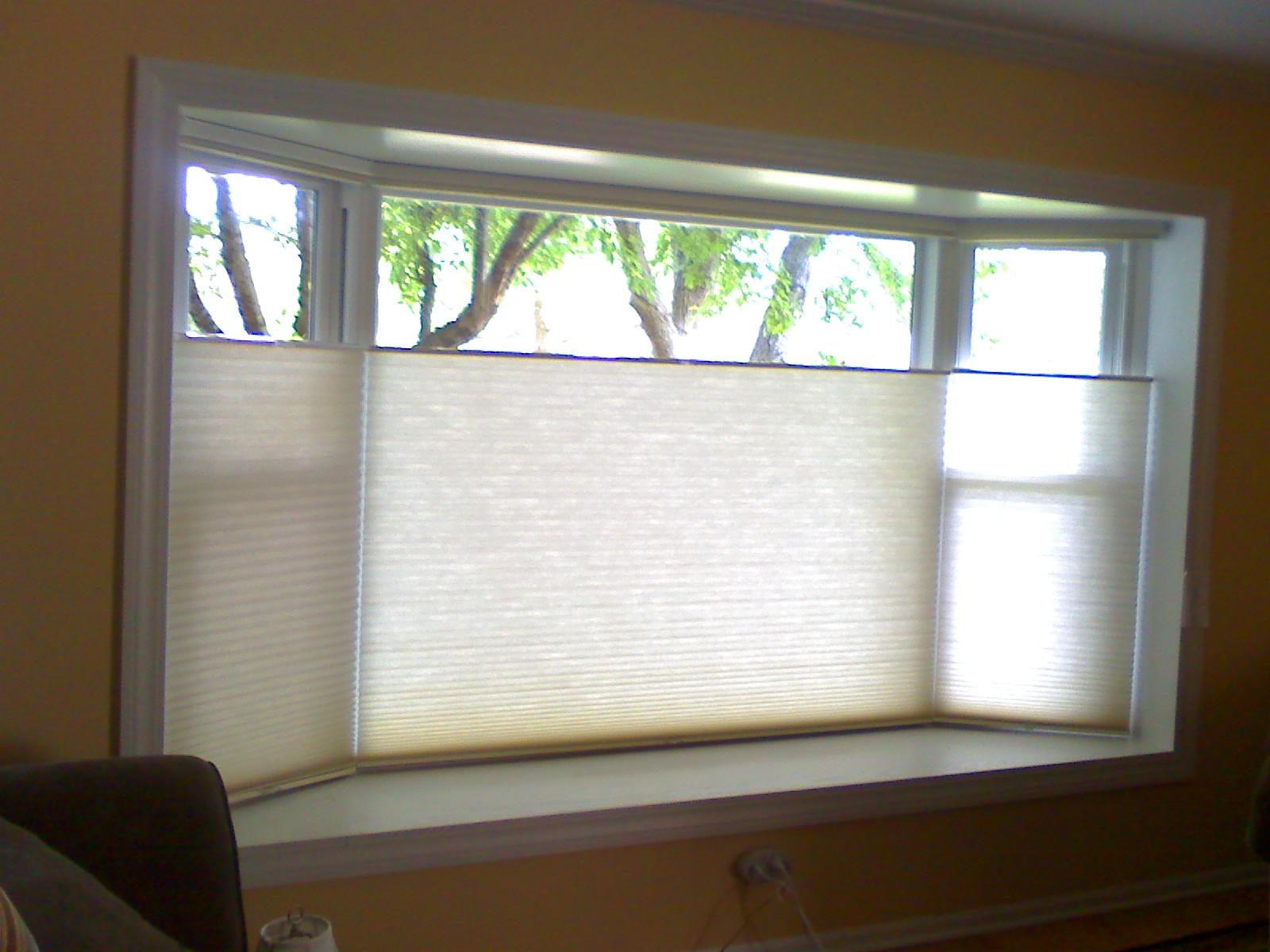 Roman Shades or Cellular Shades for Privacy Factor