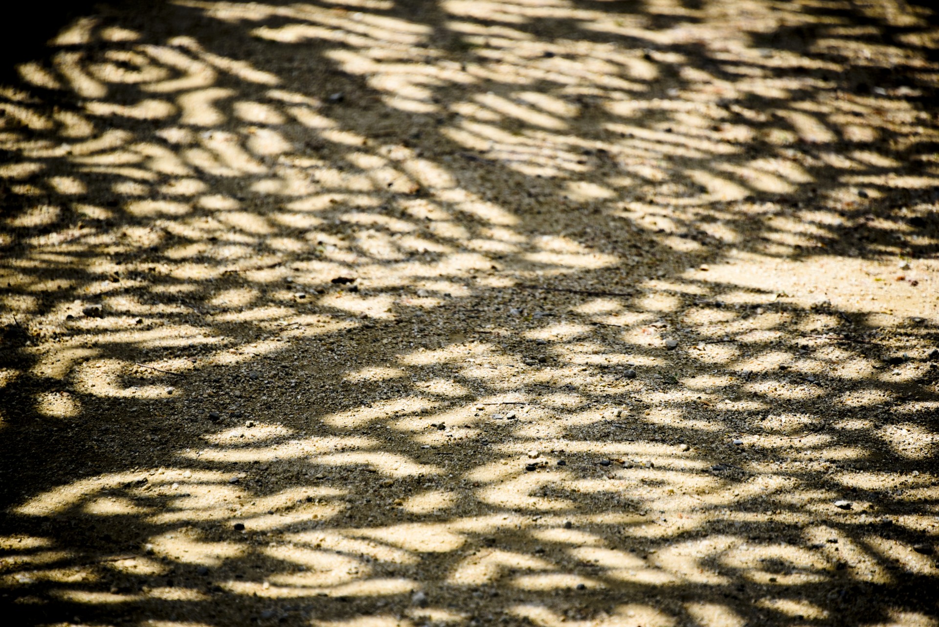 Patterns In Shadow Free Stock Photo - Public Domain Pictures