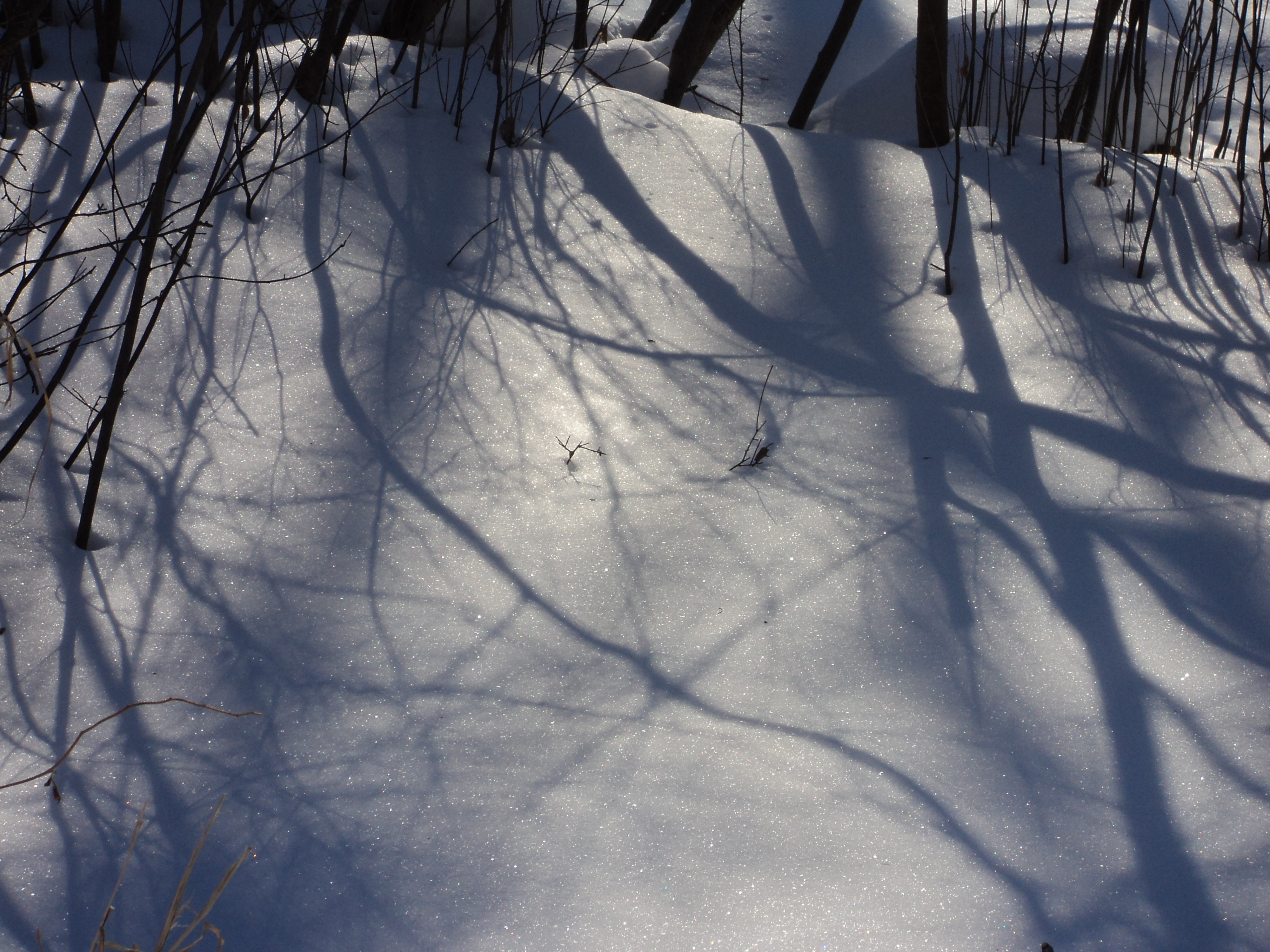 Watching the snow: images of beauty I find in shadow patterns ...