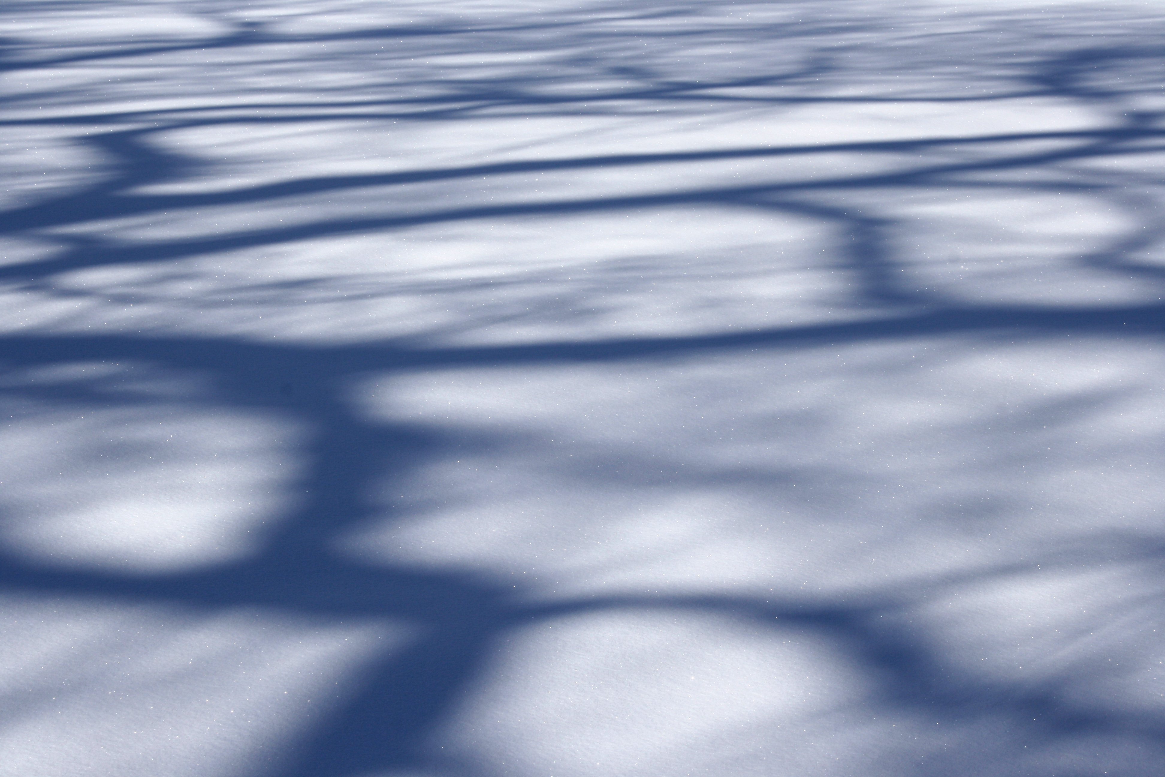 Tree Shadow Patterns on Snow Picture | Free Photograph | Photos ...