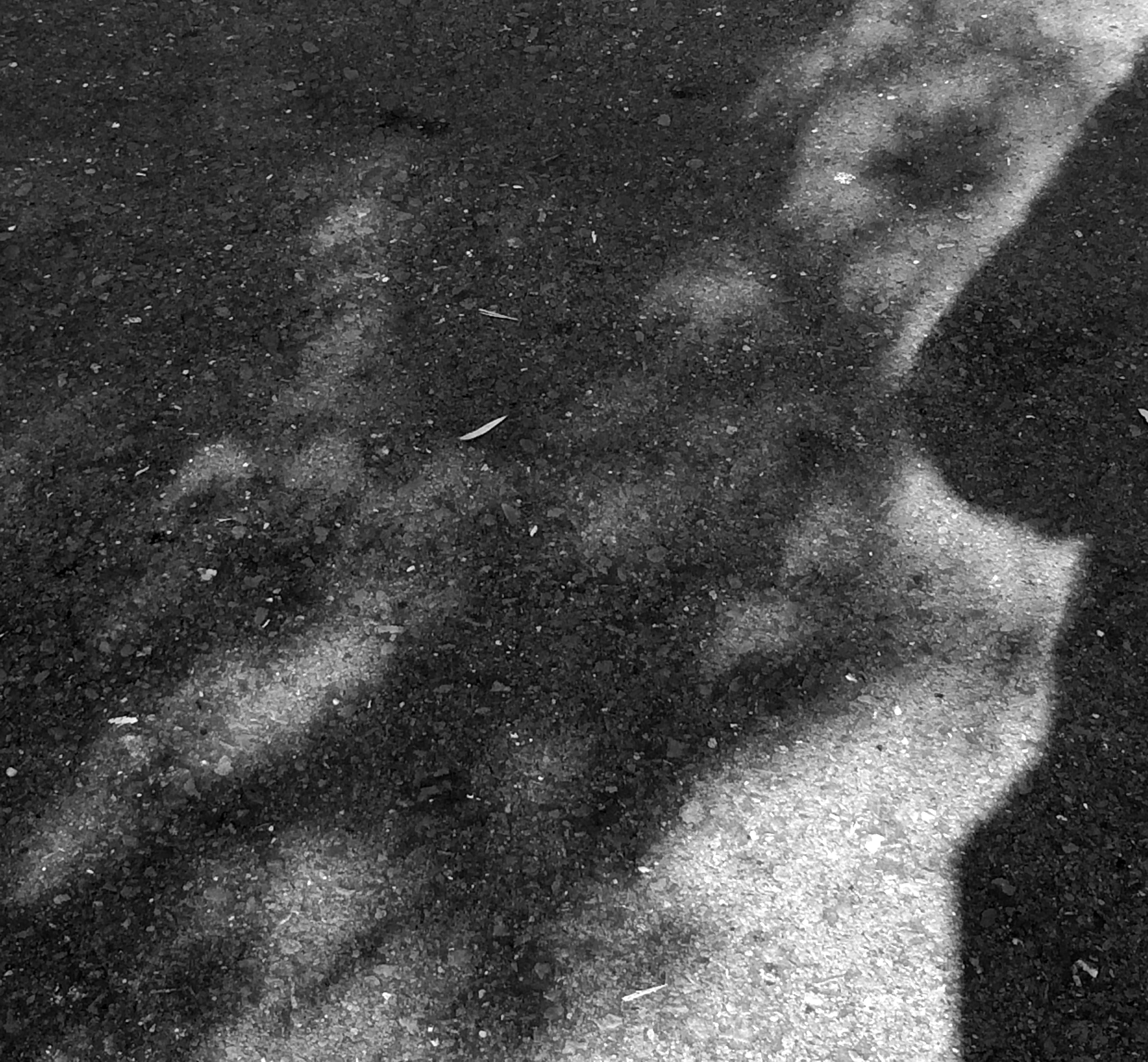 Shadow patterns photo