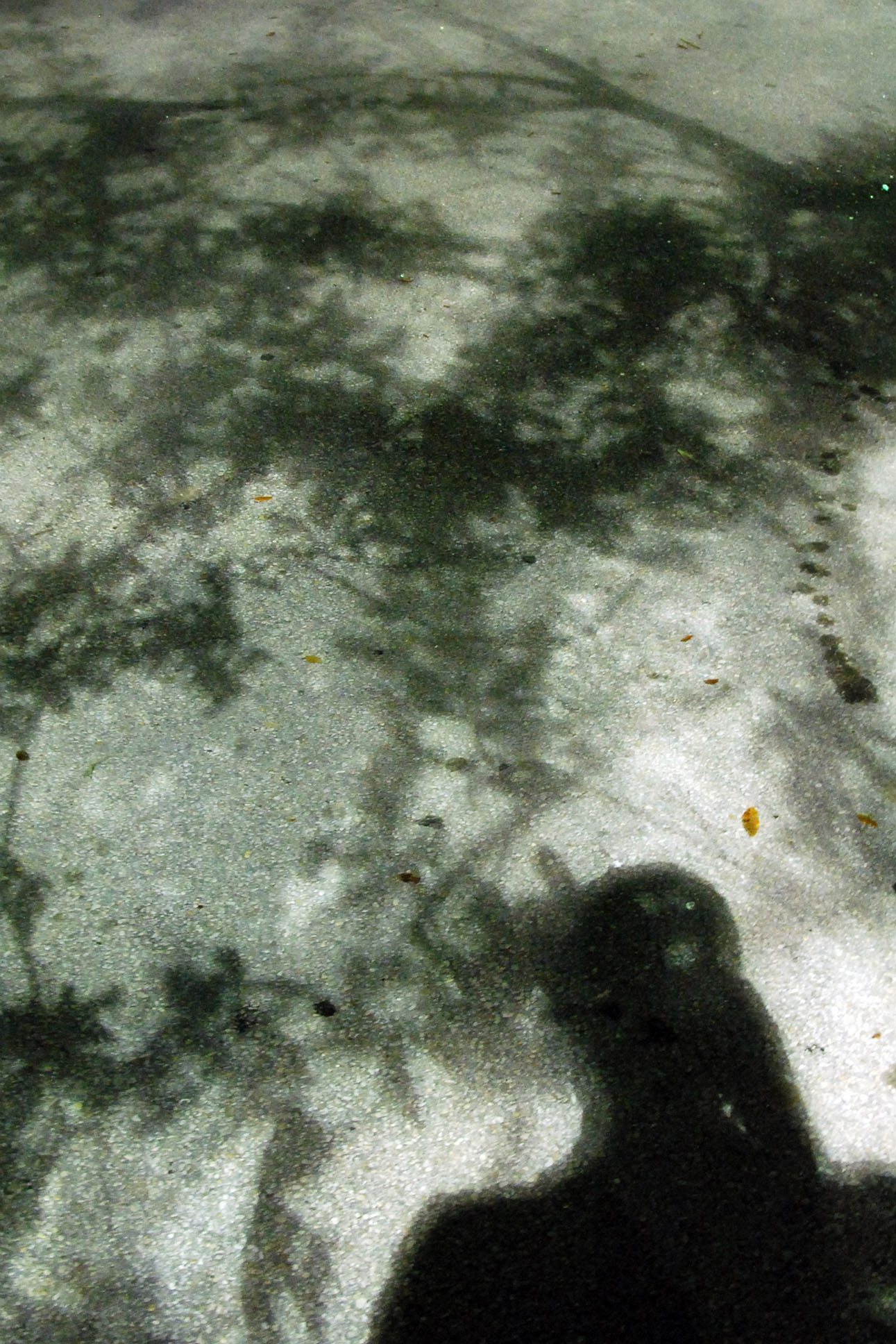 Shadows, miami, florida, january 2007 photo