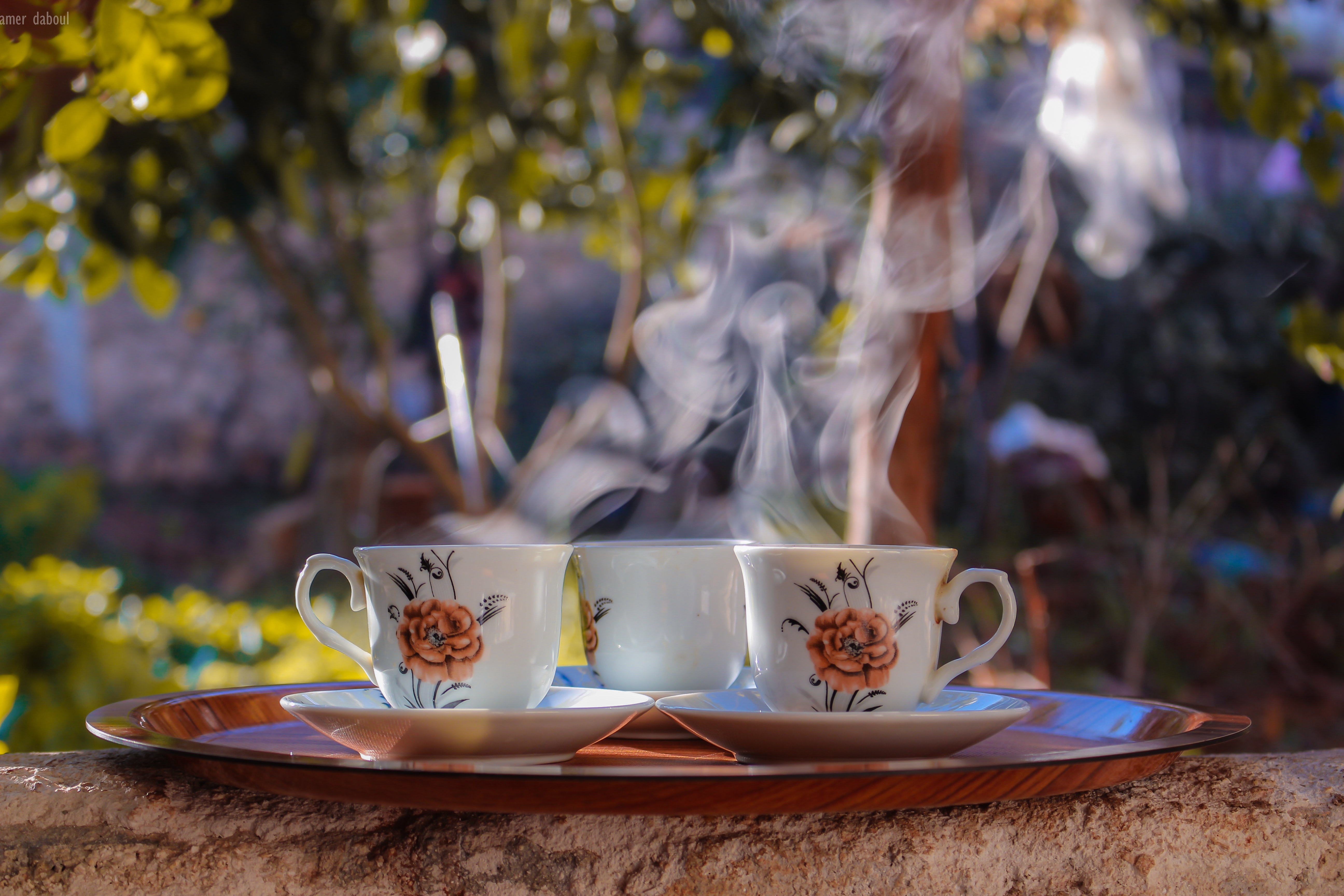 Shallow Focus Photo of Three White-brown-and-black Ceramic Floral Mugs on Saucers, Hot, Tree, Tray, Three, HQ Photo