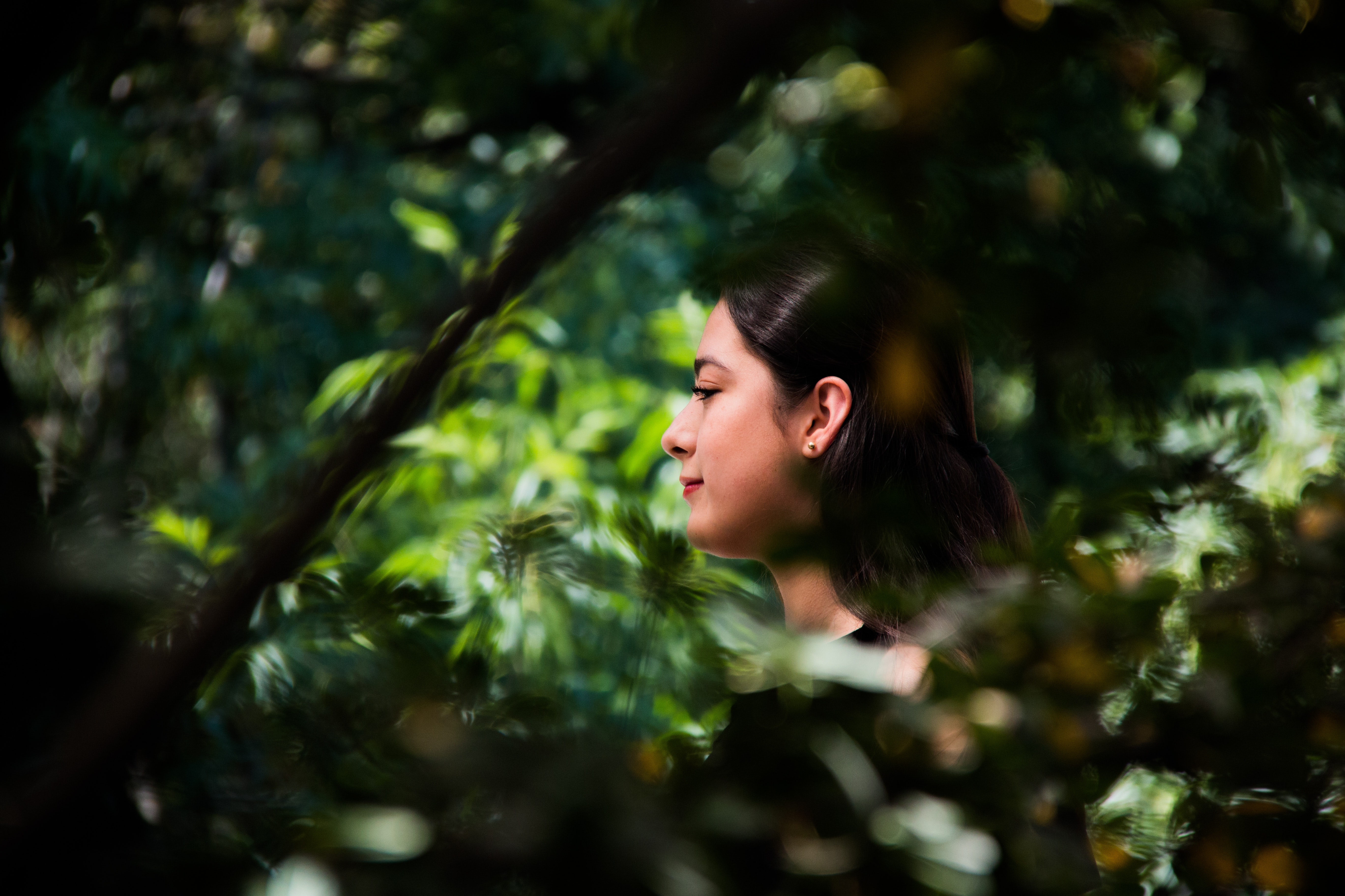 Shallow Focus Photography of Brown Haired Woman, Beautiful, Woman, Trees, Side view, HQ Photo