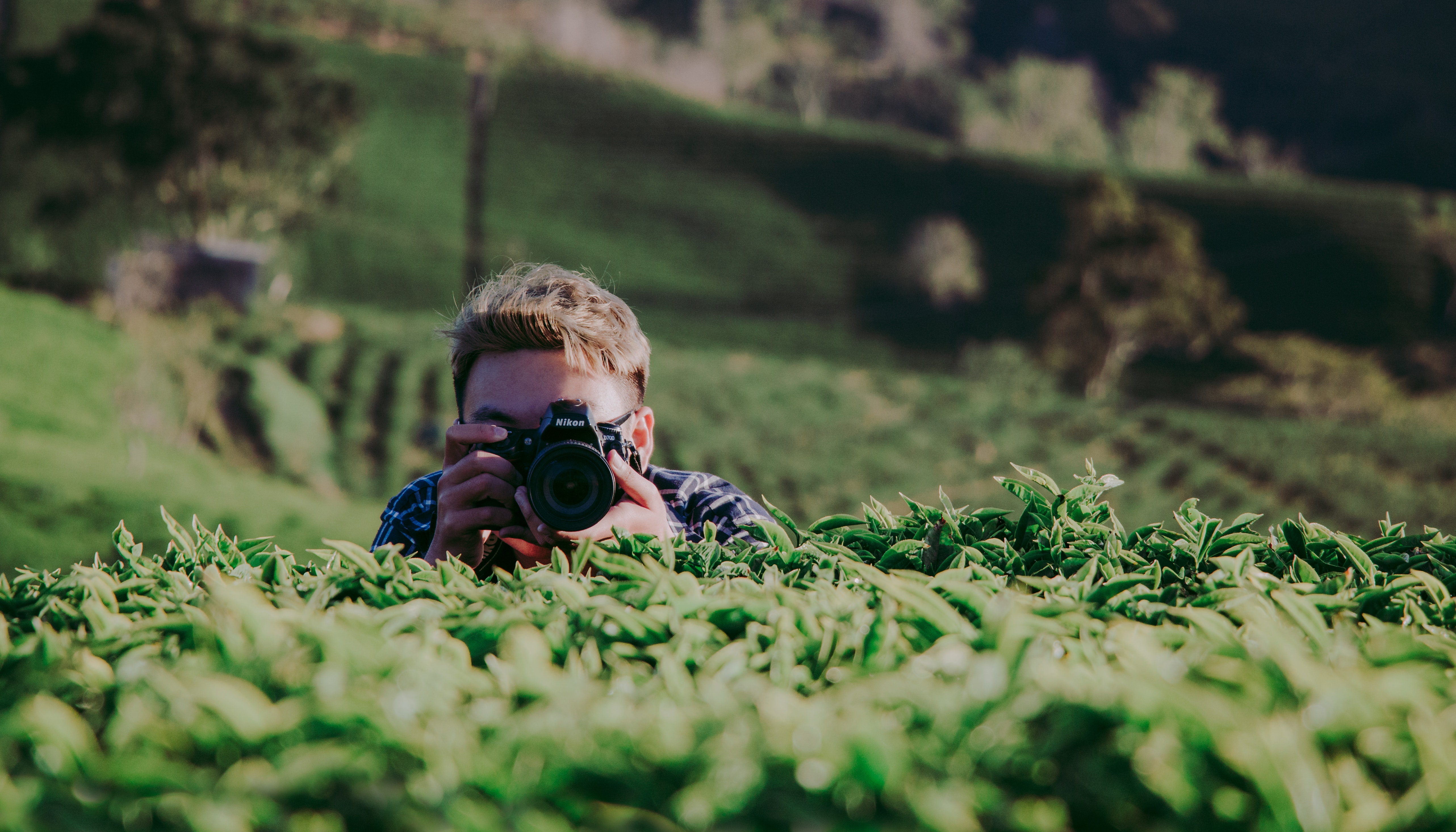 Shallow Focus Photography of Man Holding Dslr Camera, Agriculture, Camera, Cropland, Crops, HQ Photo