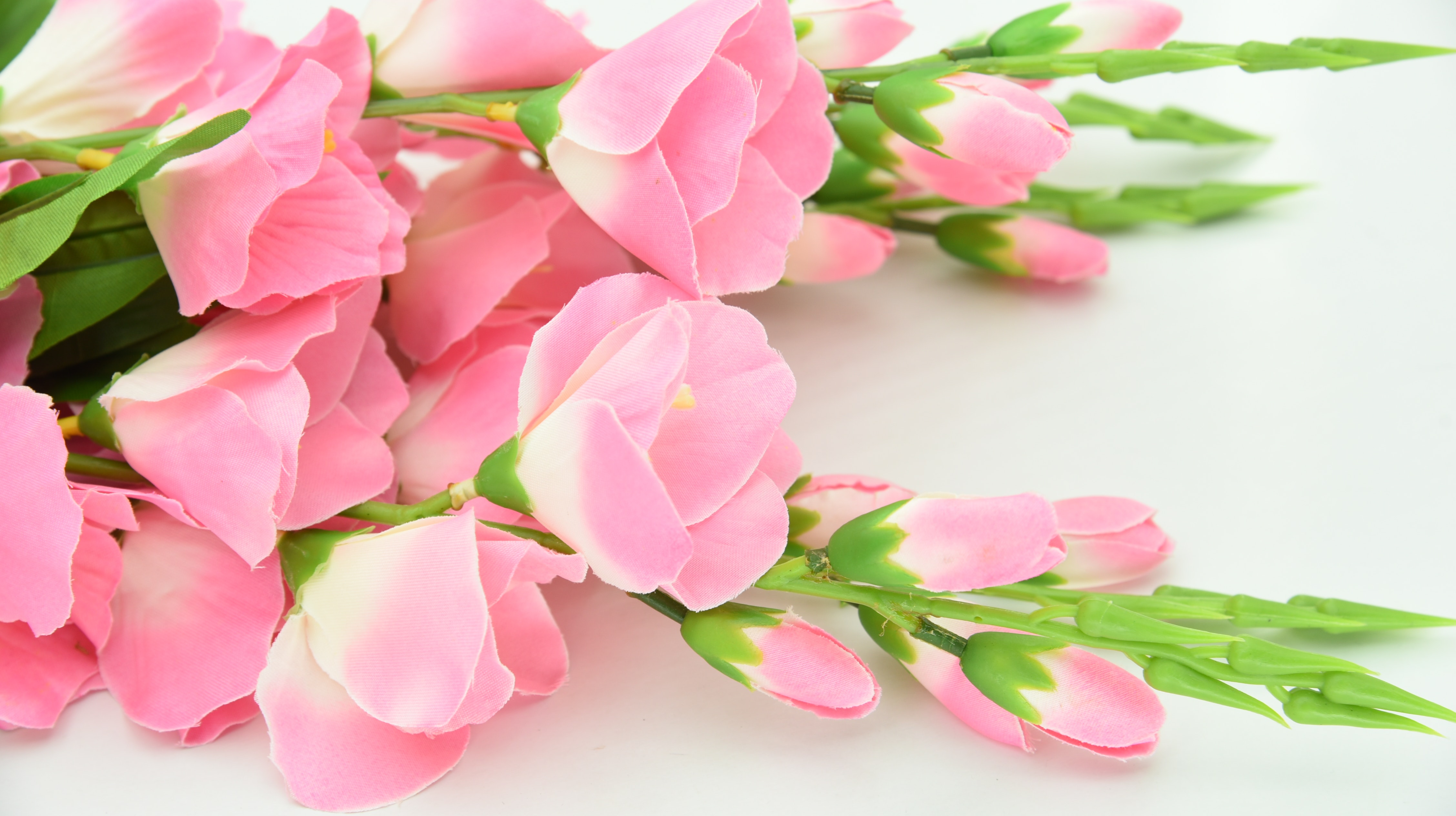 Free Photo Shallow Focus Photography Of Pink Flowers Beautiful