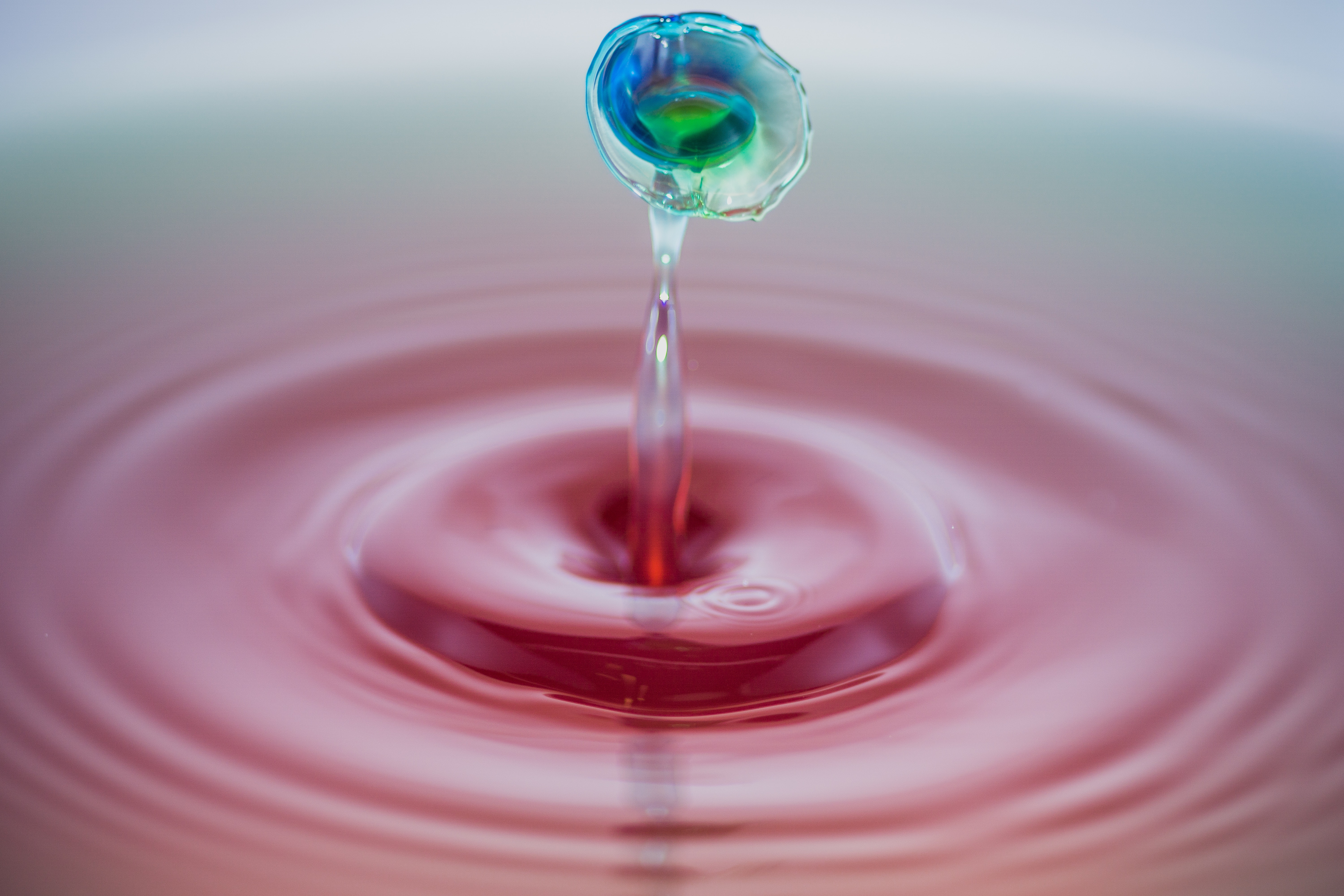 Shallow Focus Photography of Water Droplet, Abstract, Clean, Close-up, Color, HQ Photo