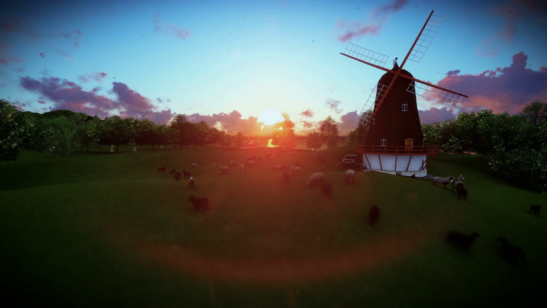 Sheeps and windmill on green meadow, sunset Motion Background ...