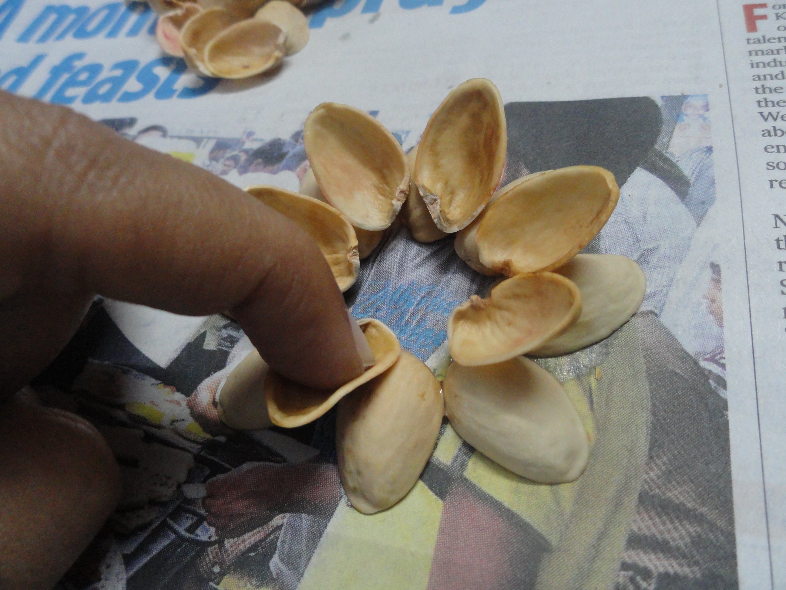 DIY: Pistachio Shell Flowers | Doses Of Randomness