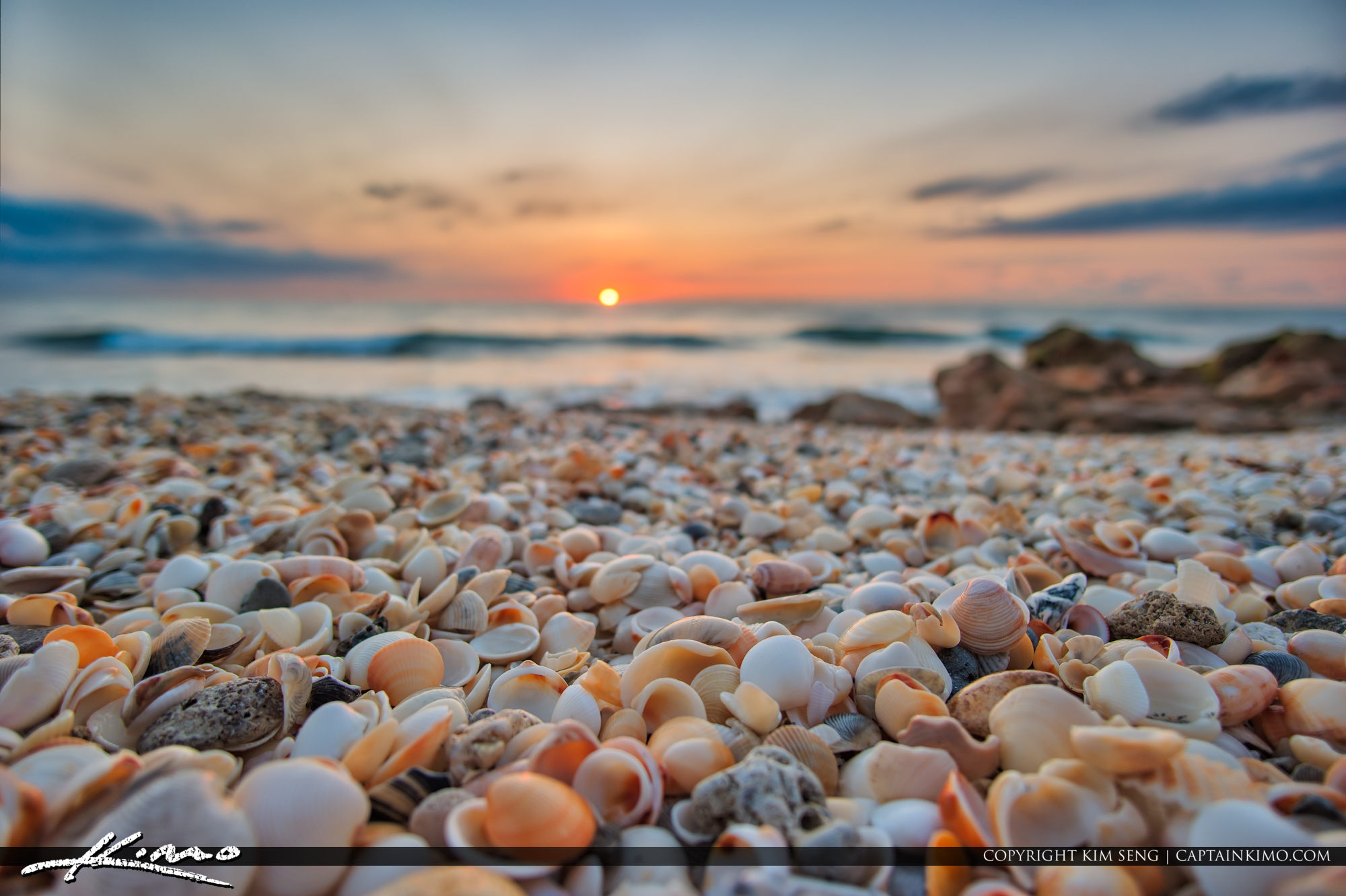 Sunrise with Shells at Beach
