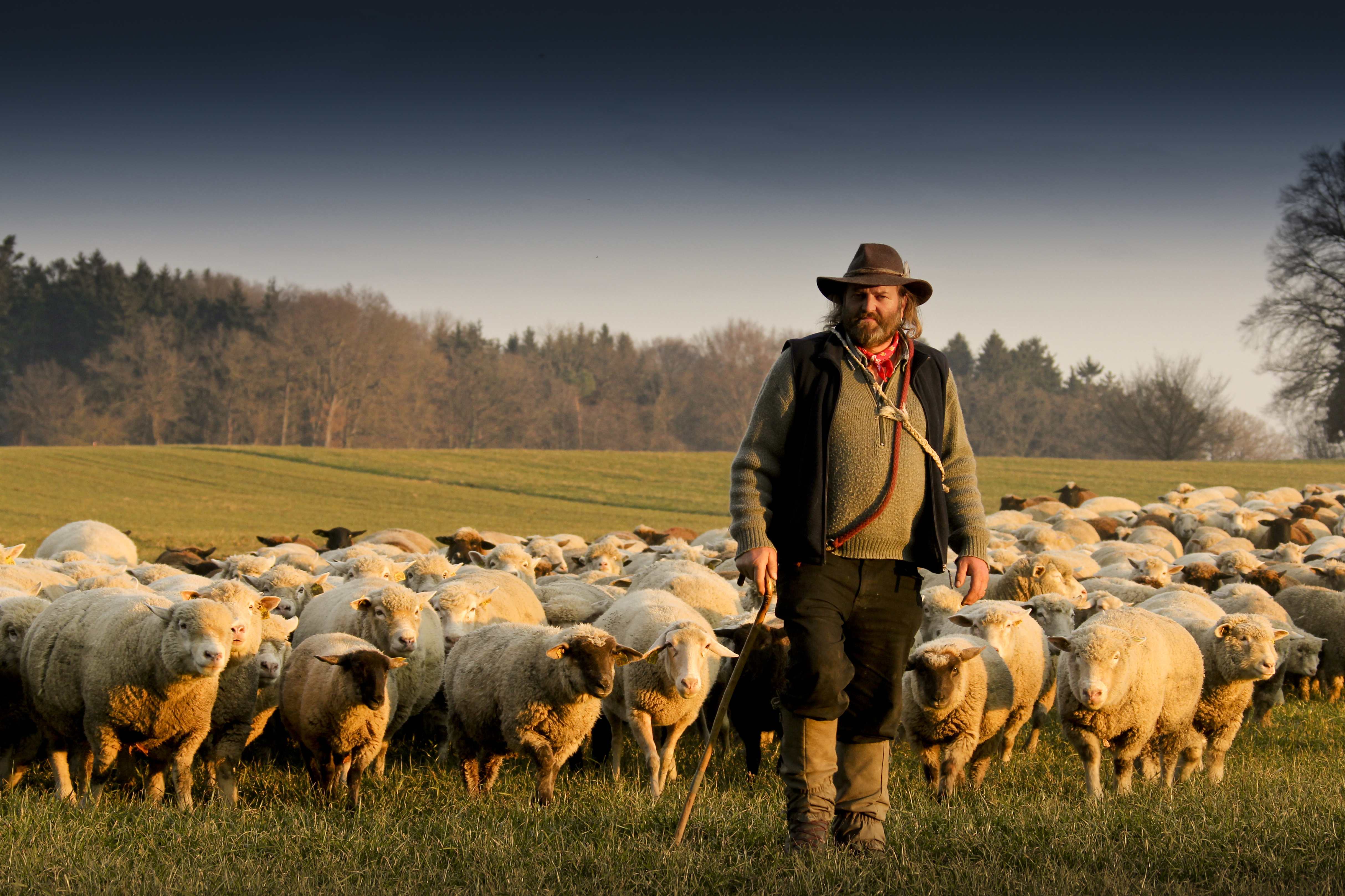 What Does It Really Mean to Be a Shepherd? | Teen Kids News