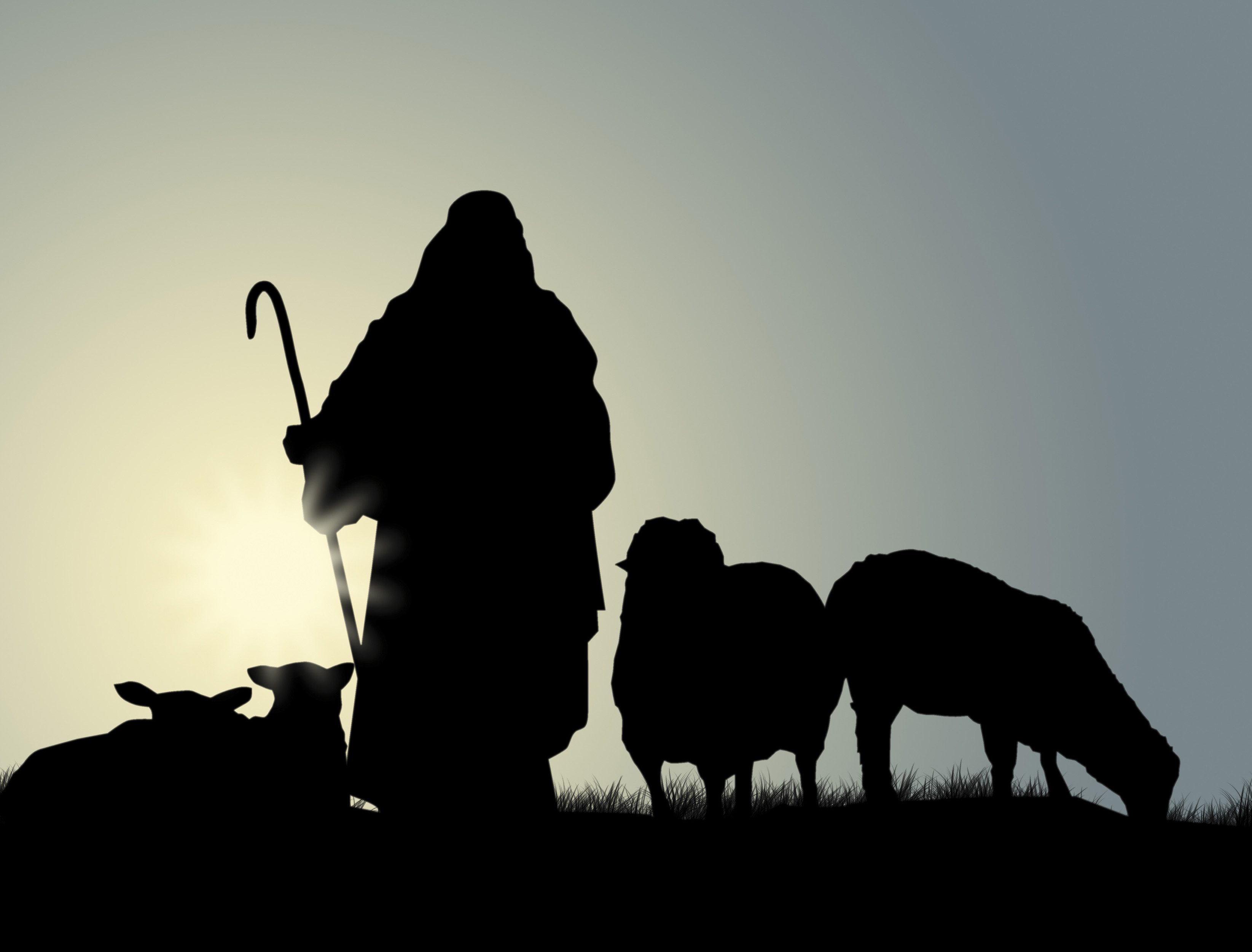 Shepherd-and-sheep-e1446124496929 | Holy Trinity Anglican Church ...