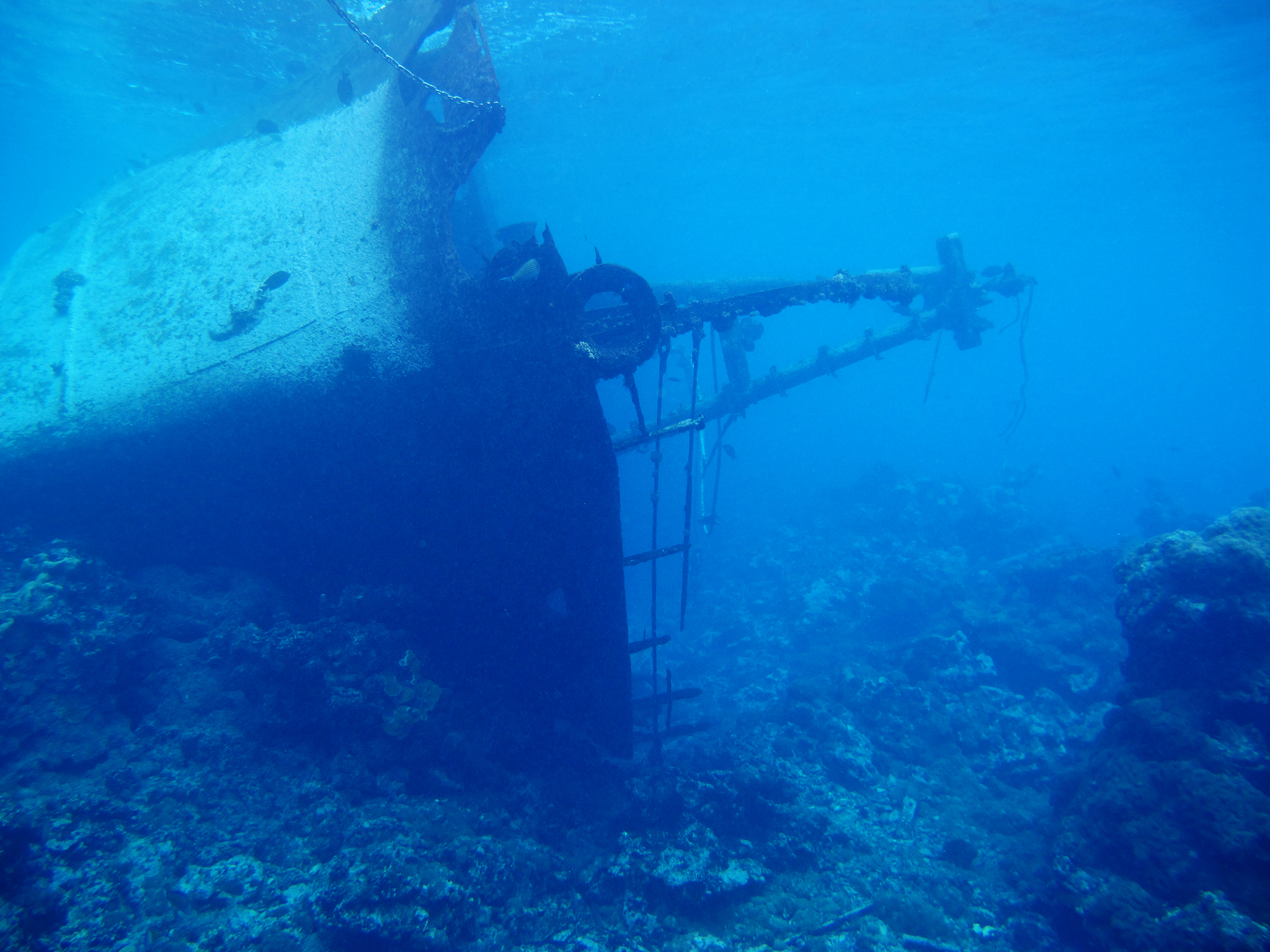 Shipwrecks Removed From Protected Coral Reefs