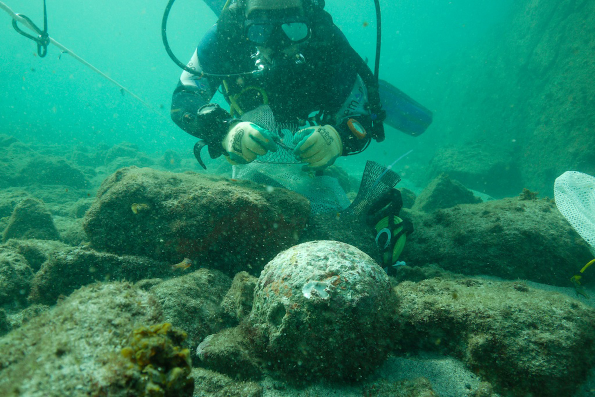 Shipwreck Discovered from Explorer Vasco da Gama's Fleet