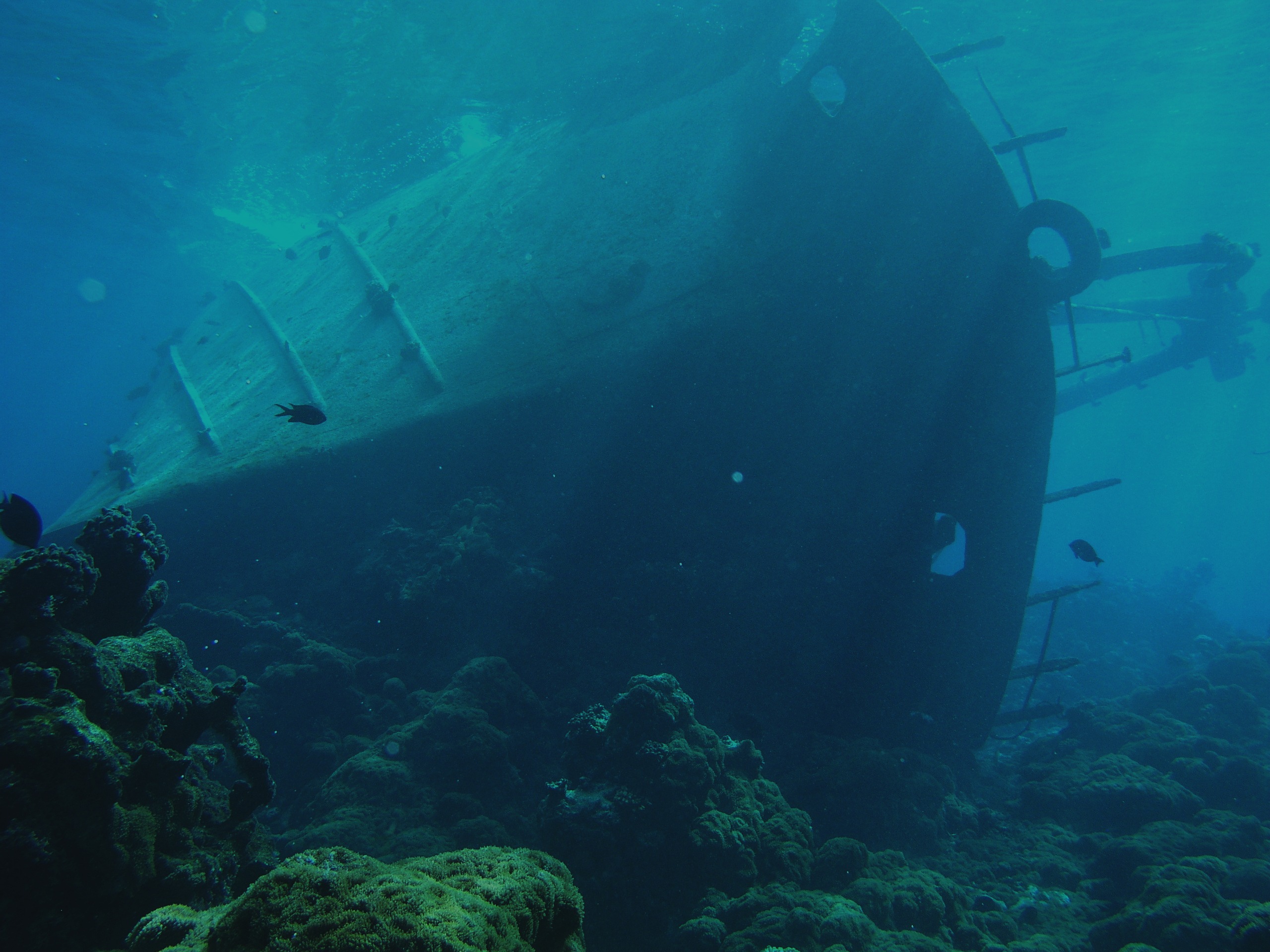 Shipwreck in Palmyra Atoll