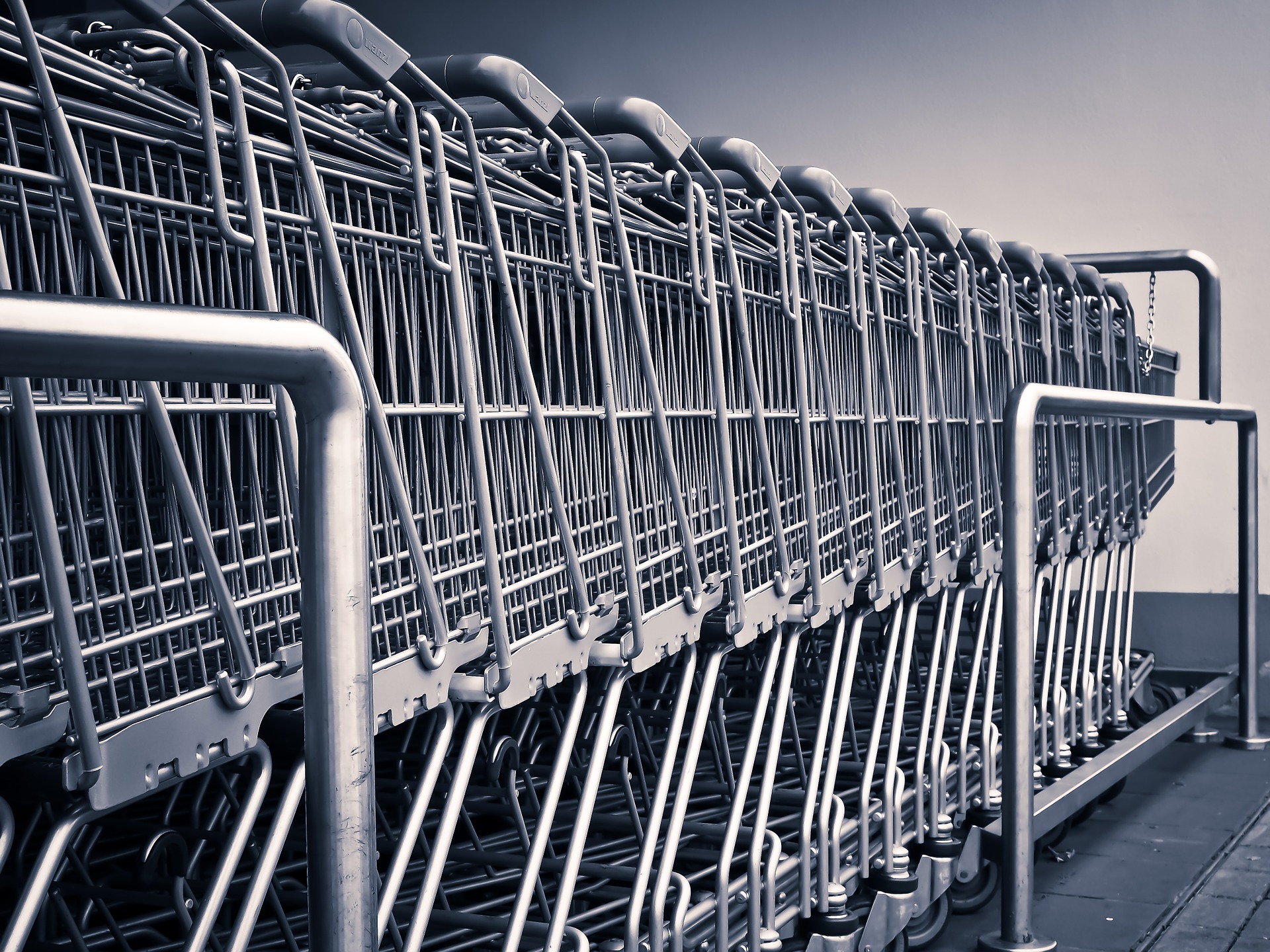 Shopping carts photo