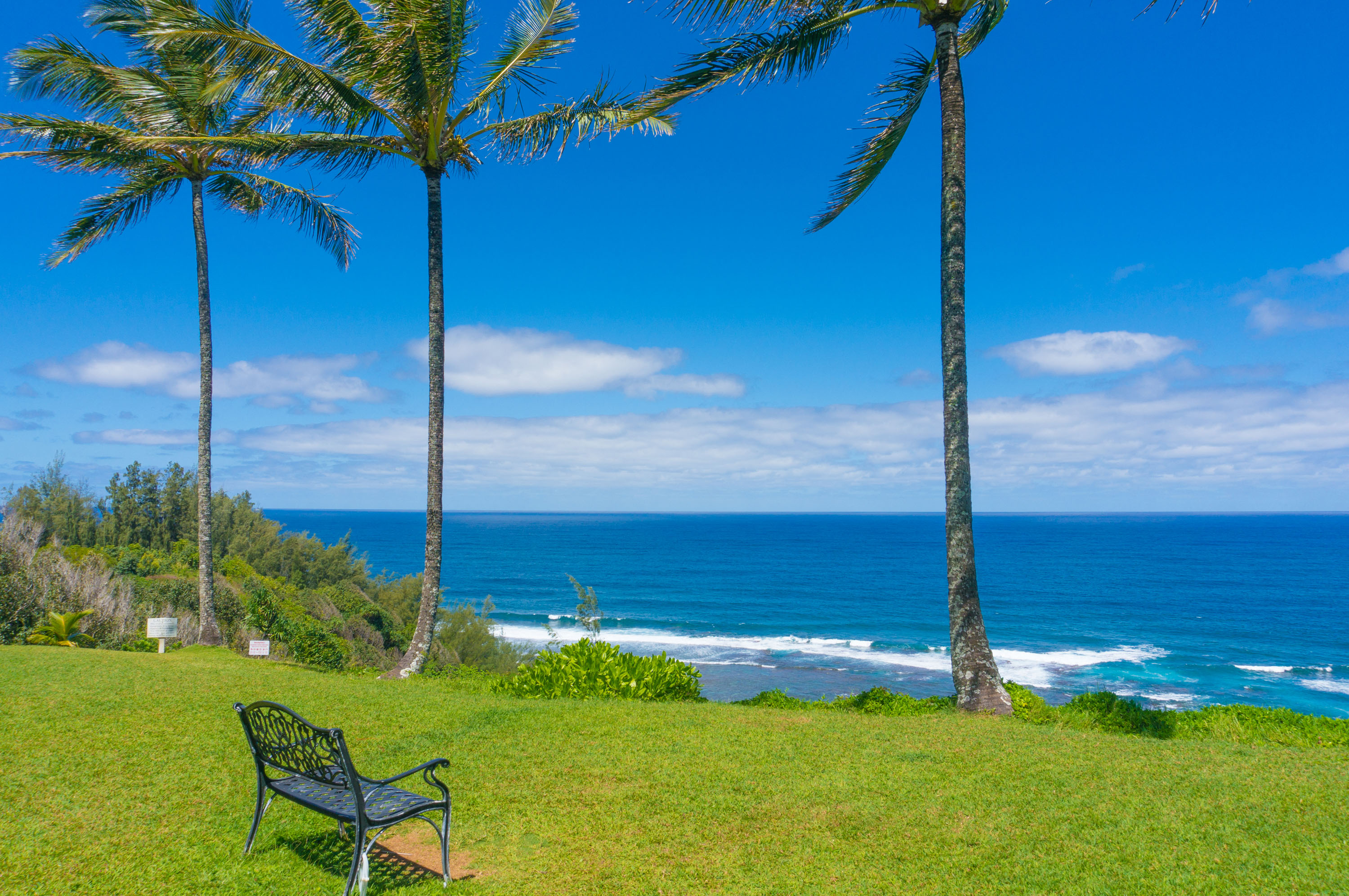 North Shore Kauai Vacation Rentals - kauai-vacations